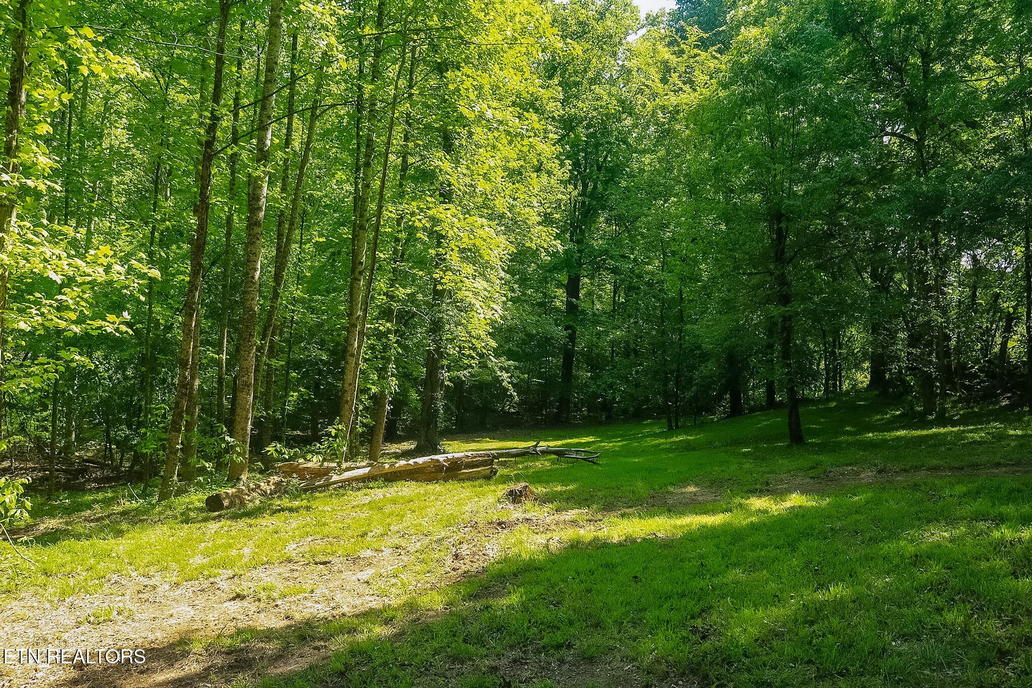 IMG_8259 - 984 Deerwood Drive, Dandridge, TN 37725, Dandridge