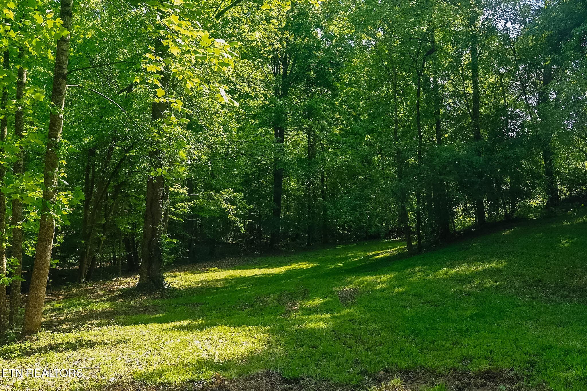 IMG_8265 - 984 Deerwood Drive, Dandridge, TN 37725, Dandridge