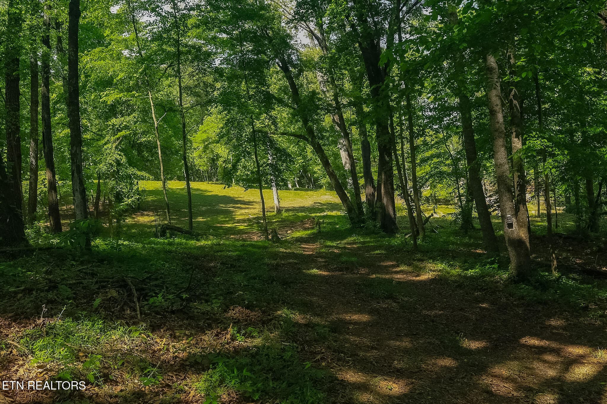IMG_8270 - 984 Deerwood Drive, Dandridge, TN 37725, Dandridge
