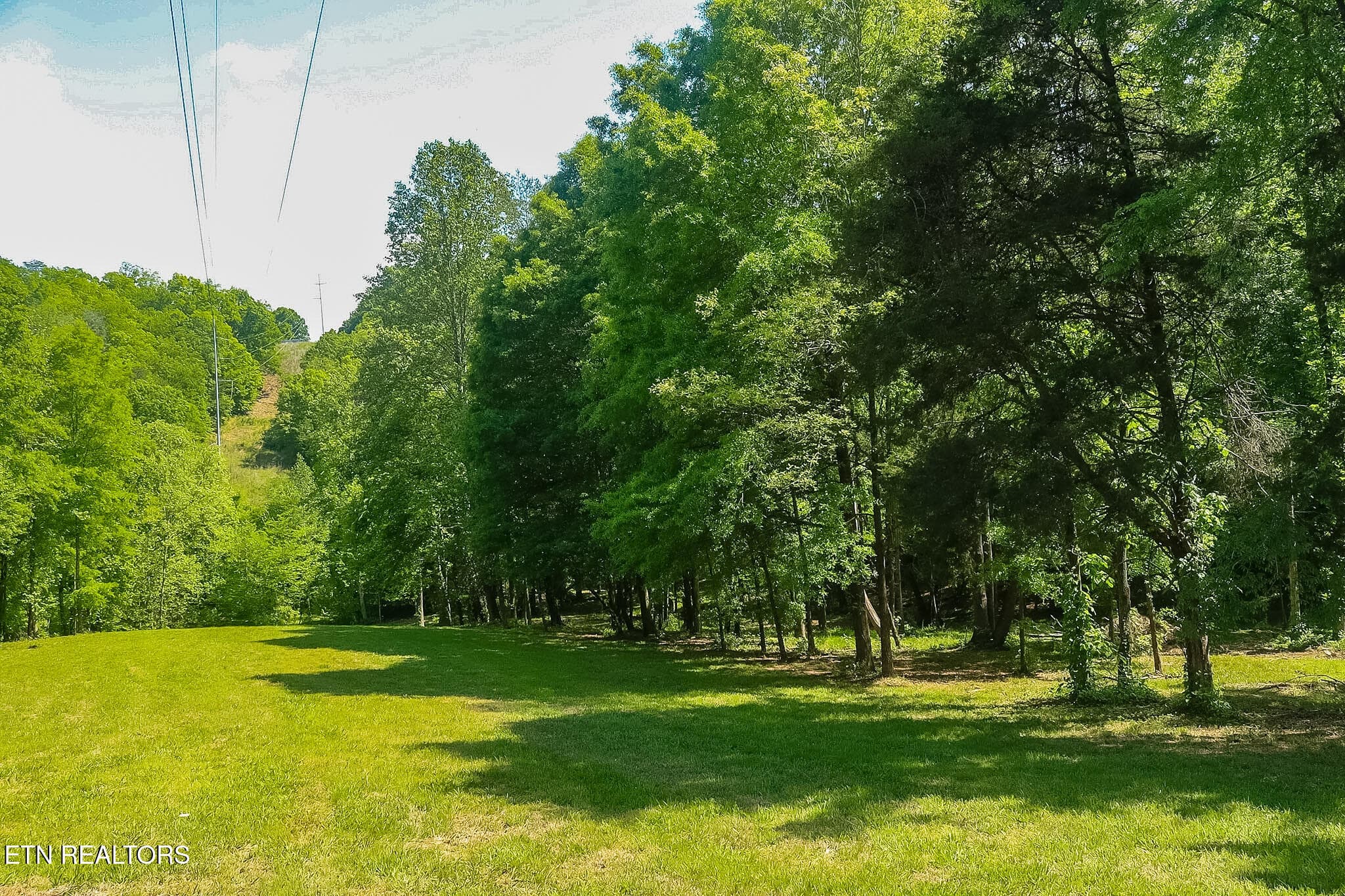 IMG_8283 - 984 Deerwood Drive, Dandridge, TN 37725, Dandridge