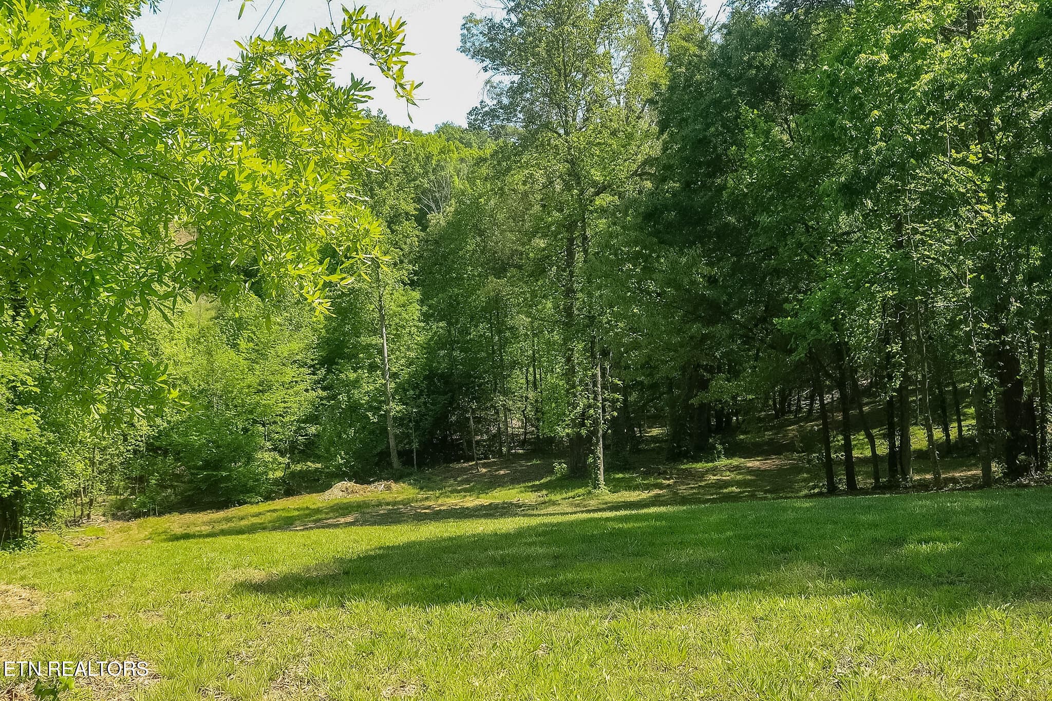 IMG_8295 - 984 Deerwood Drive, Dandridge, TN 37725, Dandridge