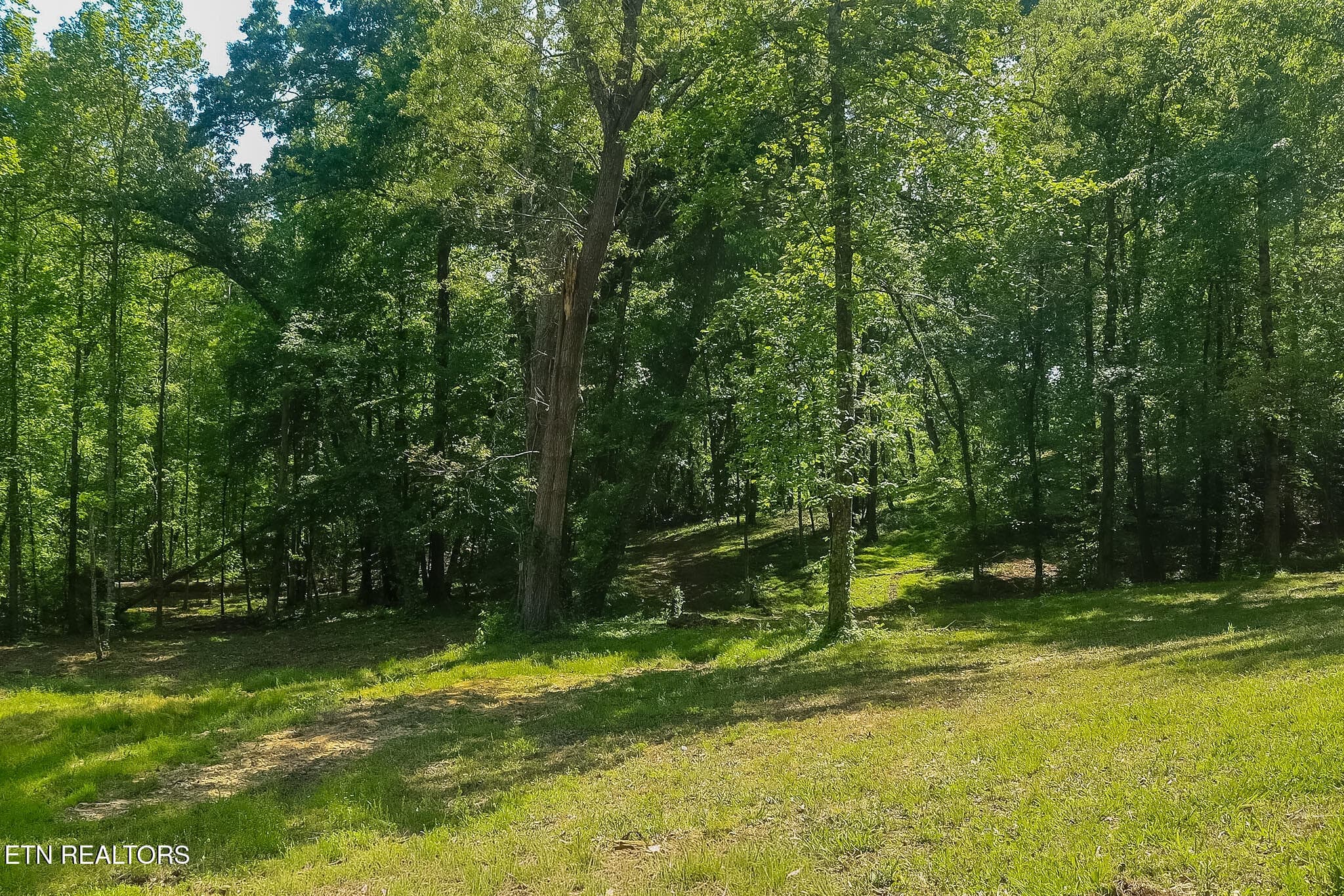 IMG_8298 - 984 Deerwood Drive, Dandridge, TN 37725, Dandridge