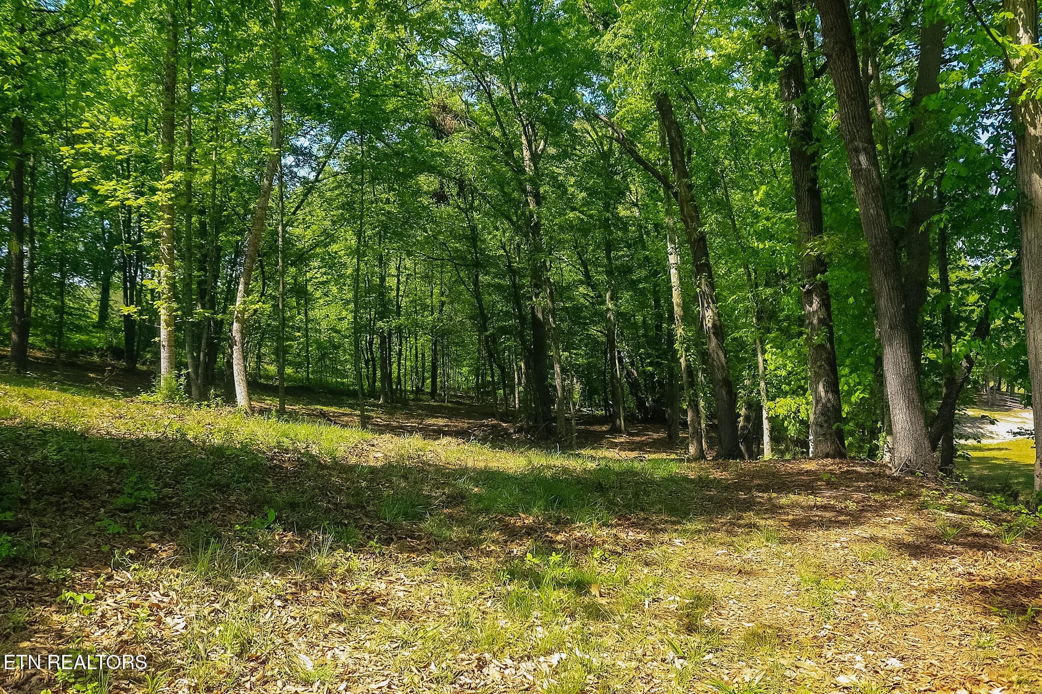 IMG_8300 - 984 Deerwood Drive, Dandridge, TN 37725, Dandridge