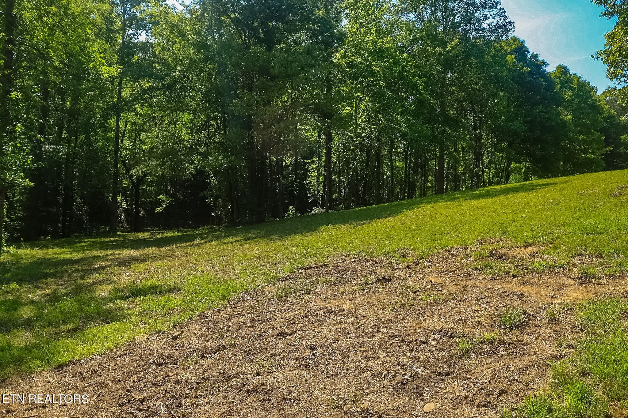 IMG_8301 - 984 Deerwood Drive, Dandridge, TN 37725, Dandridge
