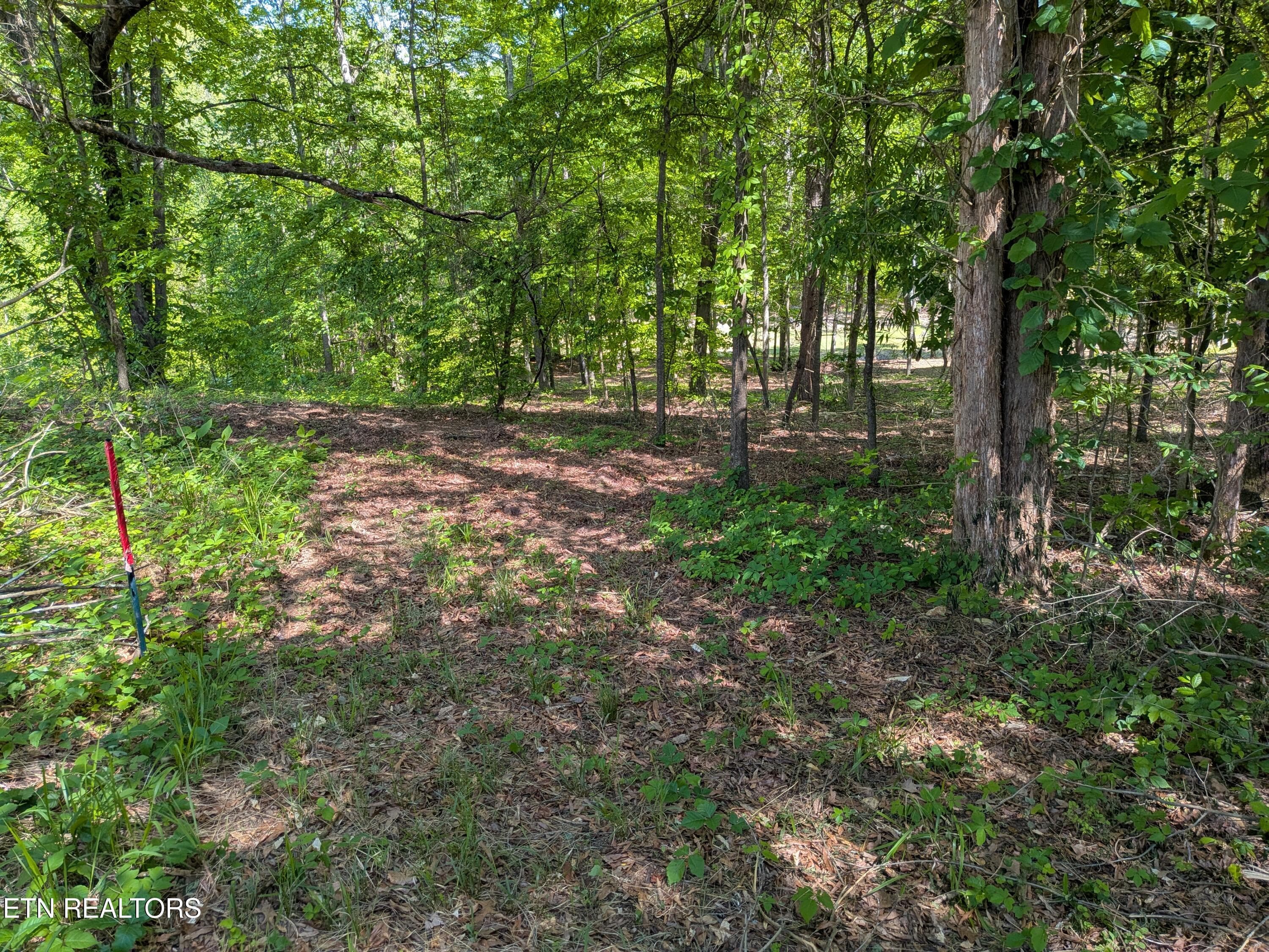 PXL_20260424_192100563 - 984 Deerwood Drive, Dandridge, TN 37725, Dandridge