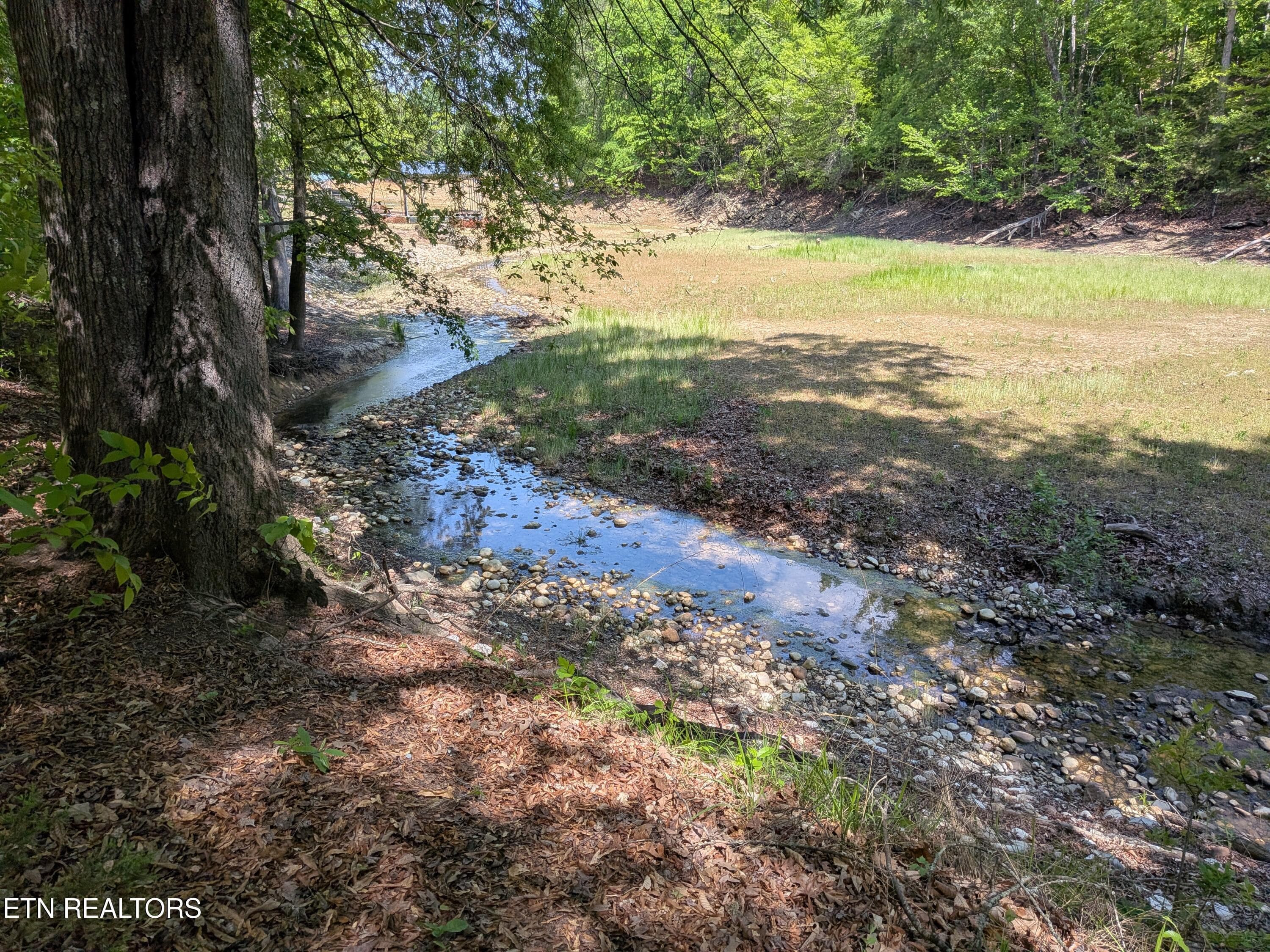 PXL_20260424_192253125 - 984 Deerwood Drive, Dandridge, TN 37725, Dandridge