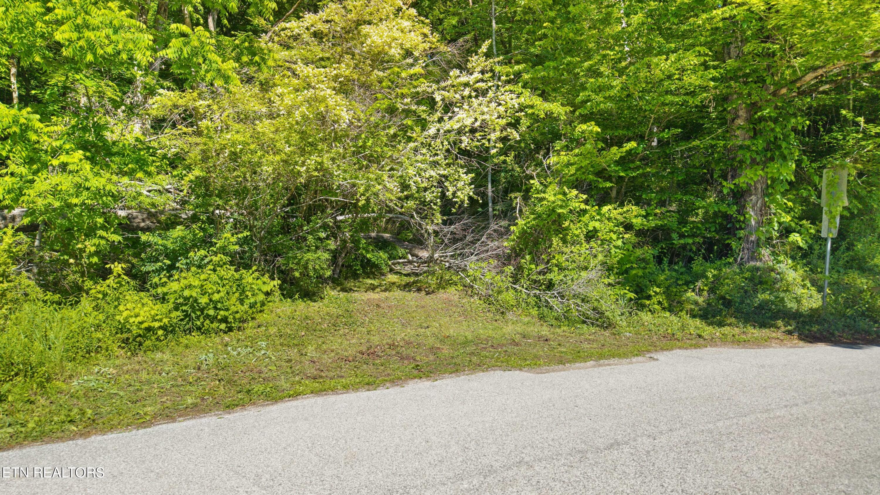 dji_20260508104944_0038_d[1] - 1209 E Bullrun Valley Drive, Powell, TN 37849