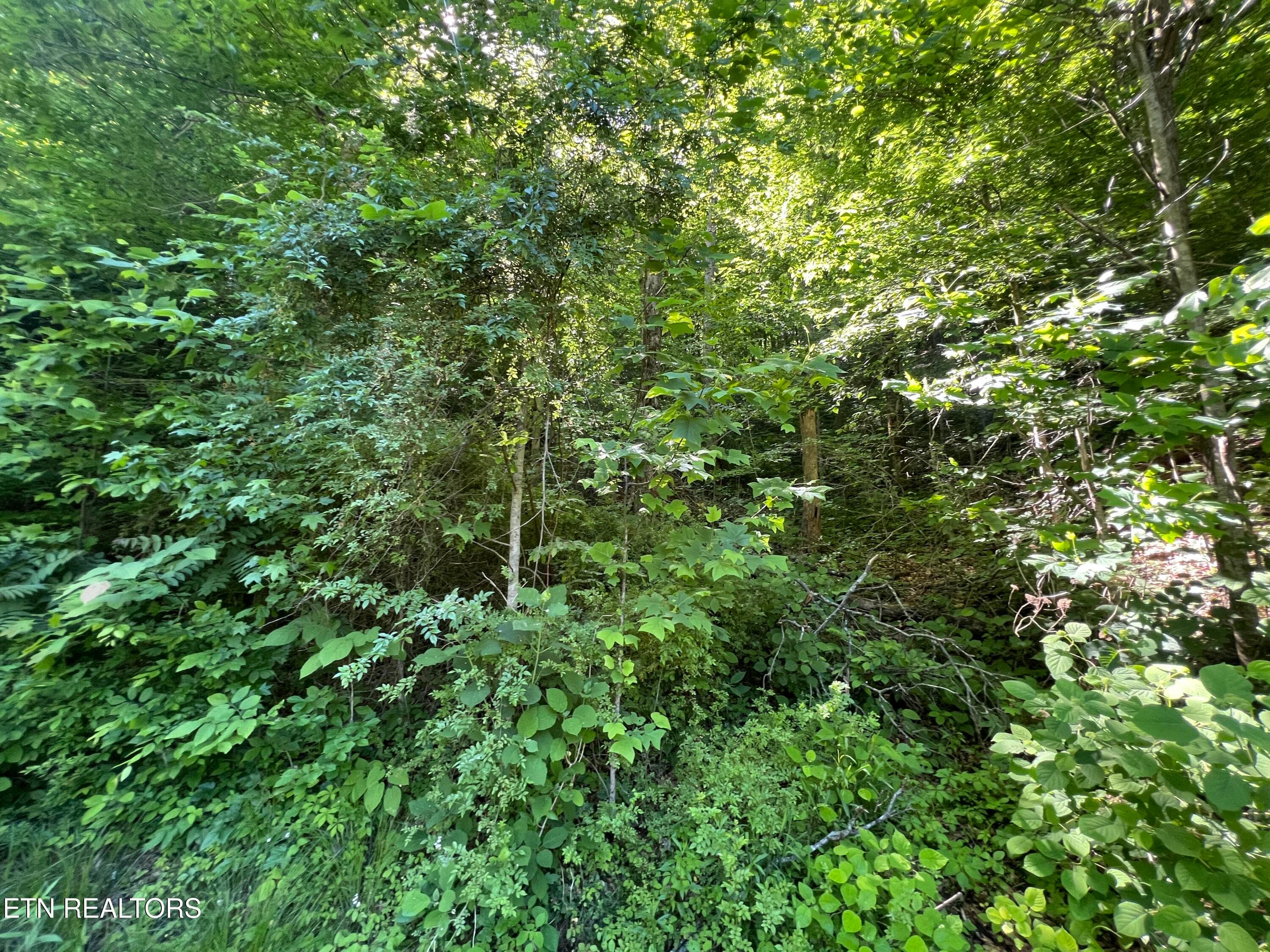 IMG_8414 - Apache Rd, Jamestown, TN 38556