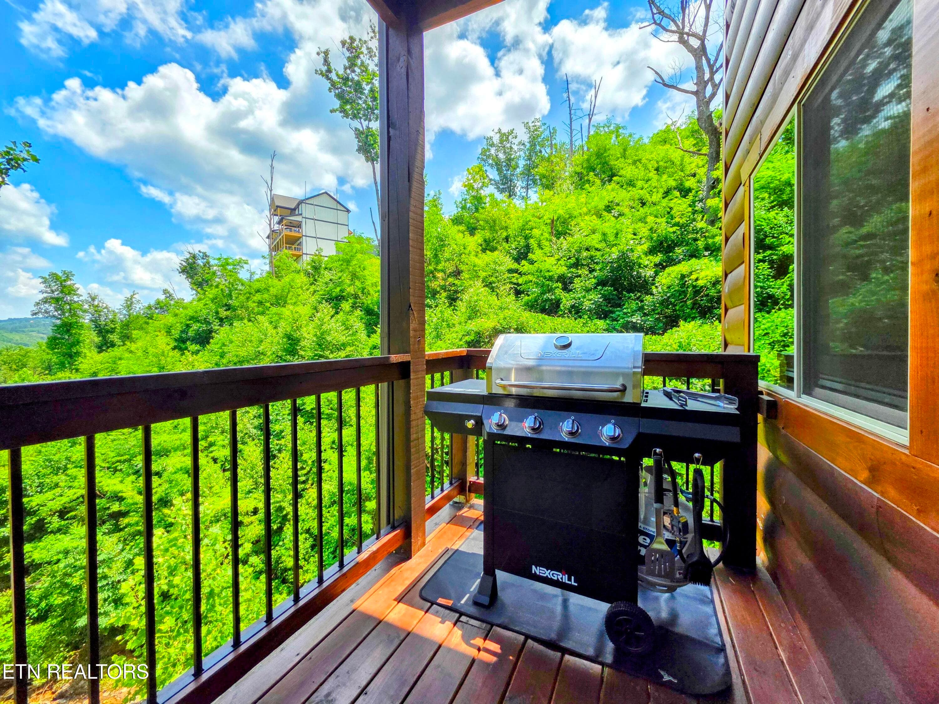 20250623_131747~2 - 367 Wiley Oakley Drive, Gatlinburg, TN 37738, Gatlinburg
