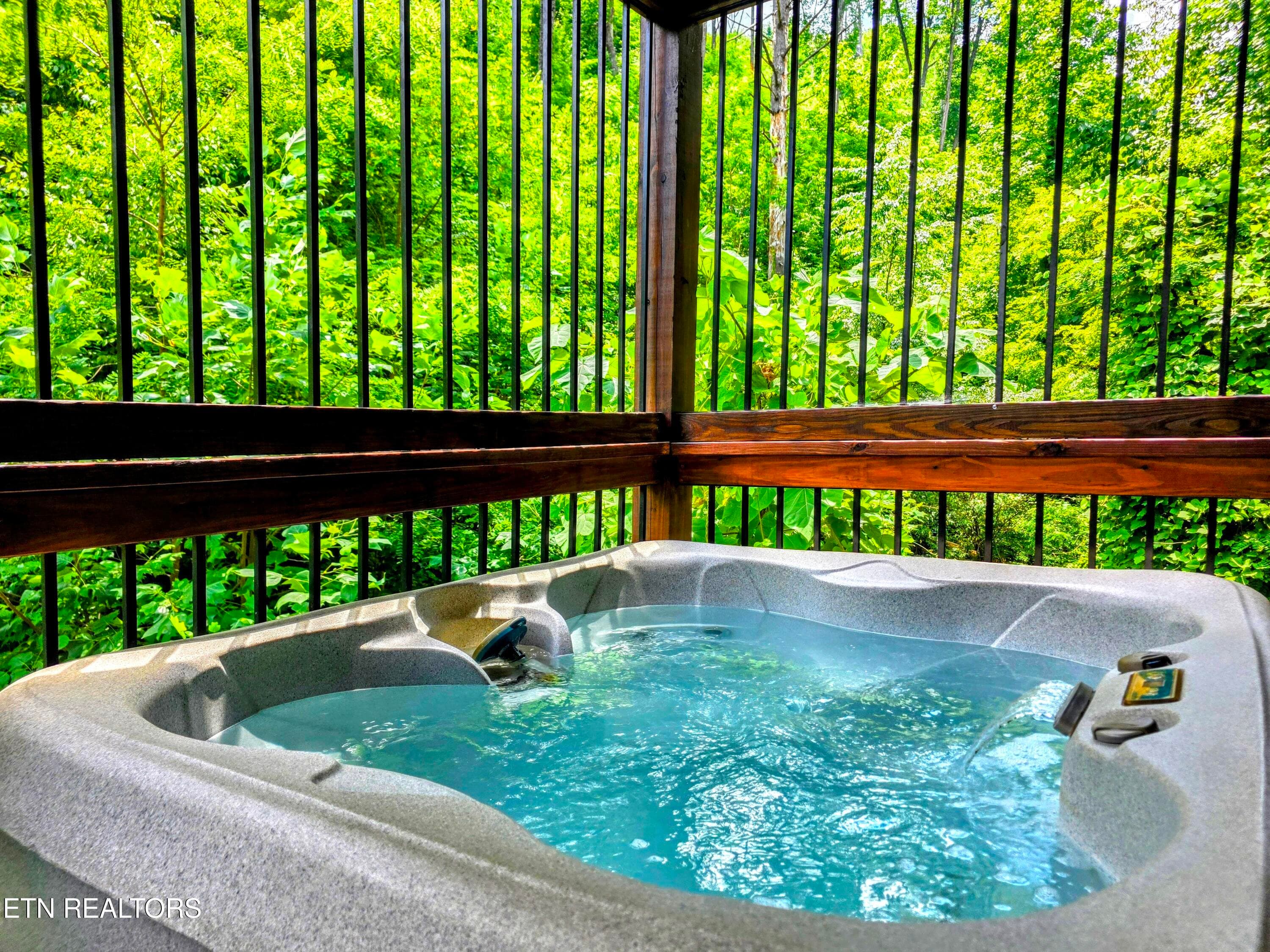 20250623_134412~2 - 367 Wiley Oakley Drive, Gatlinburg, TN 37738, Gatlinburg
