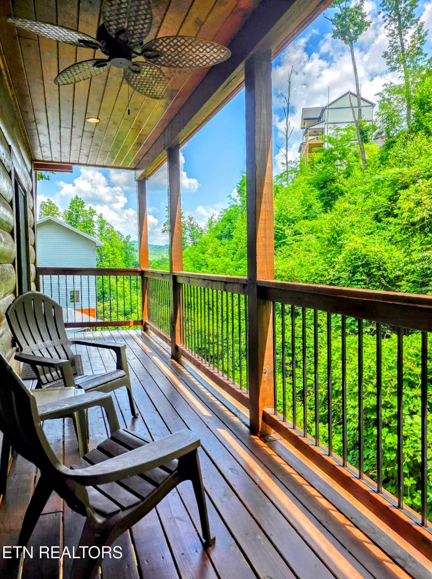 20250623_134527~2 - 367 Wiley Oakley Drive, Gatlinburg, TN 37738, Gatlinburg