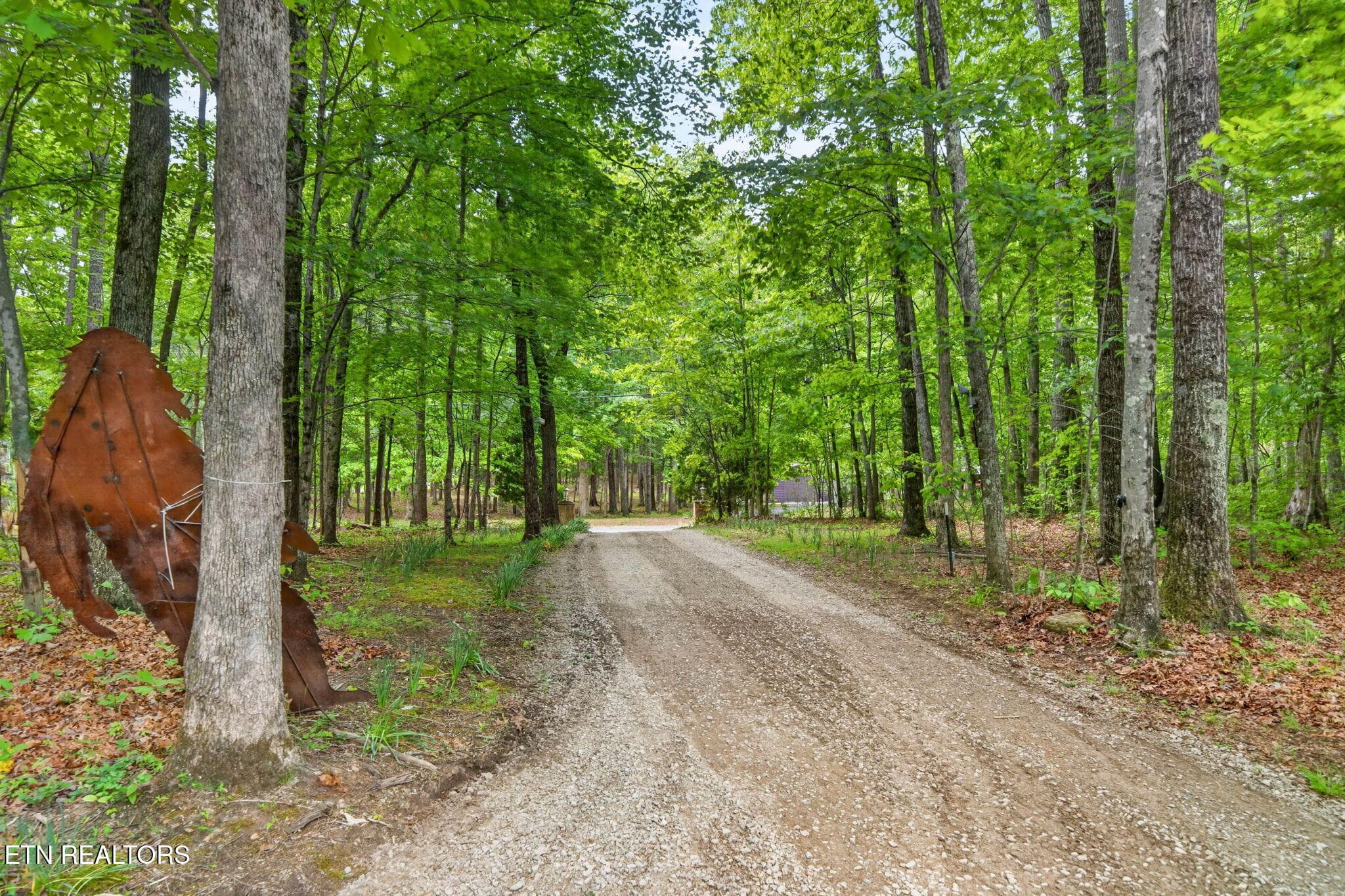 5-web-or-mls-500 Cliff Park Rd_017_TNPC - 500 Cliff Park Rd, Monterey, TN 38574
