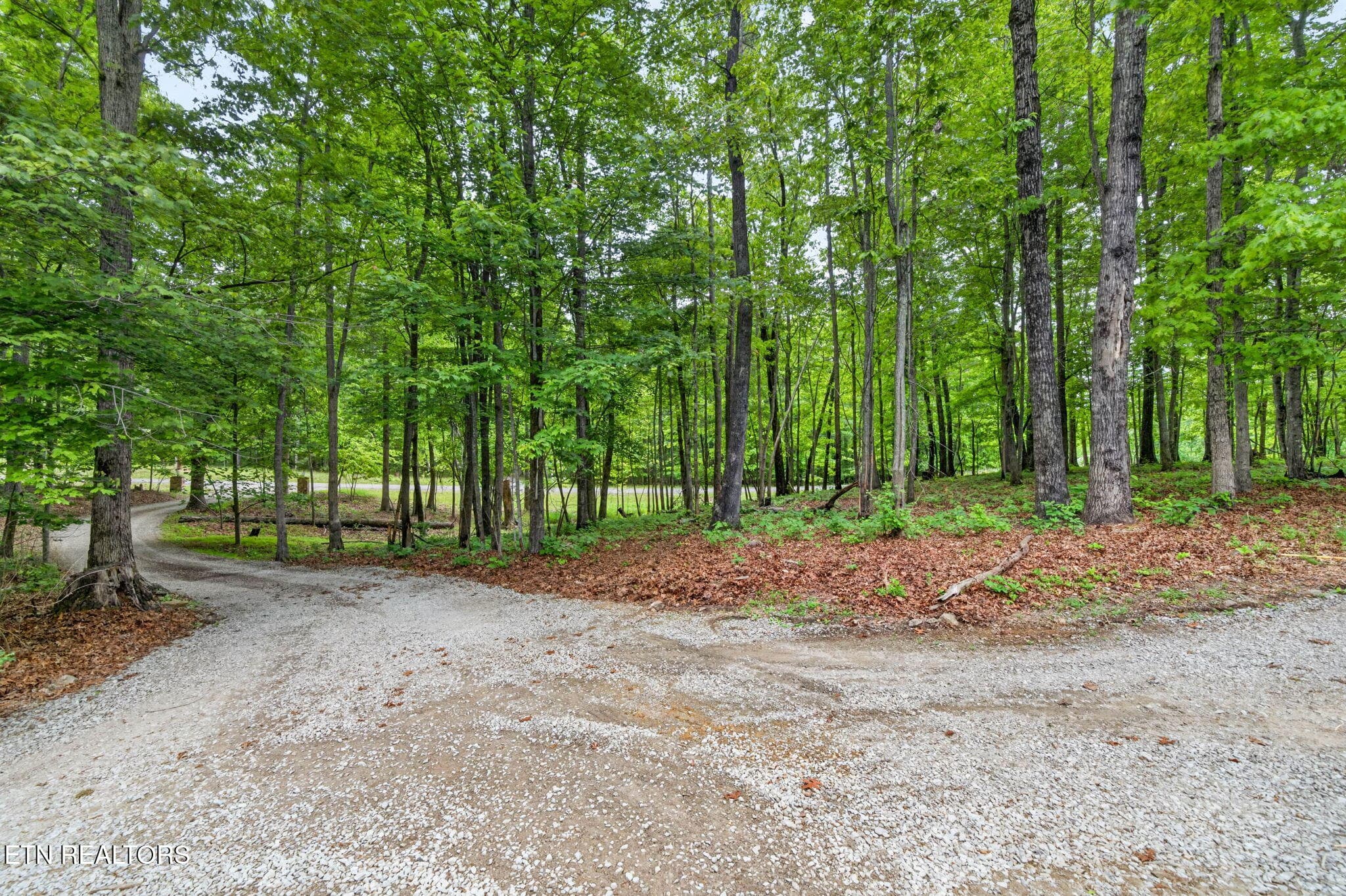 12-web-or-mls-500 Cliff Park Rd_053_TNPC - 500 Cliff Park Rd, Monterey, TN 38574