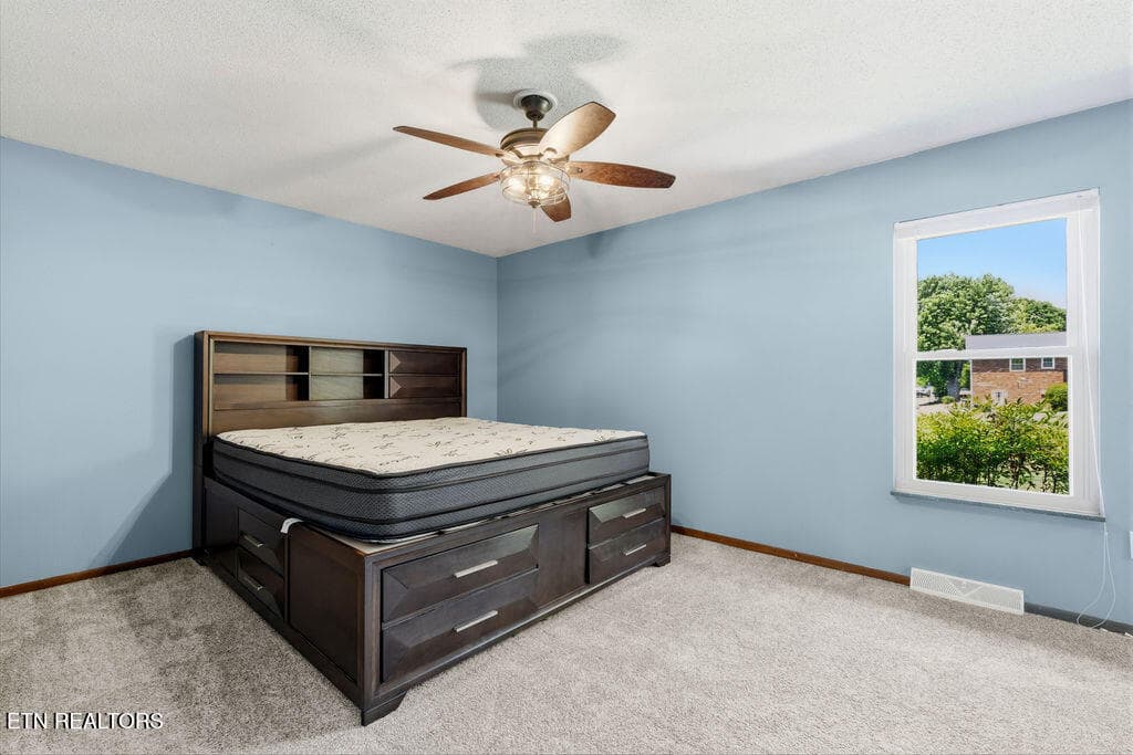 Primary Bedroom - 4309 Hicken Rd, Knoxville, TN 37938