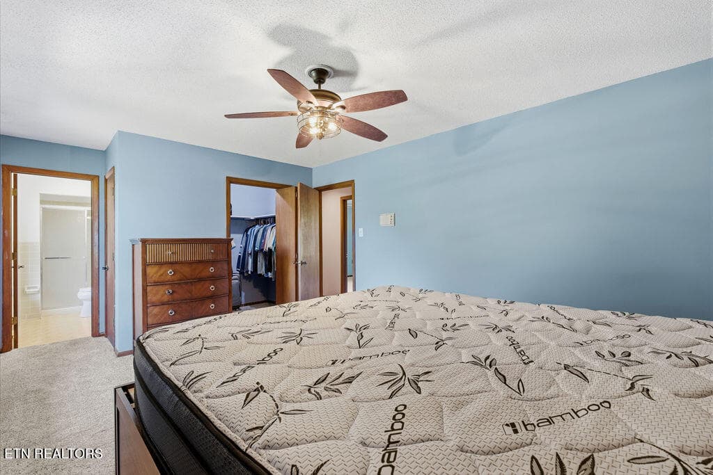 Primary Bedroom - 4309 Hicken Rd, Knoxville, TN 37938