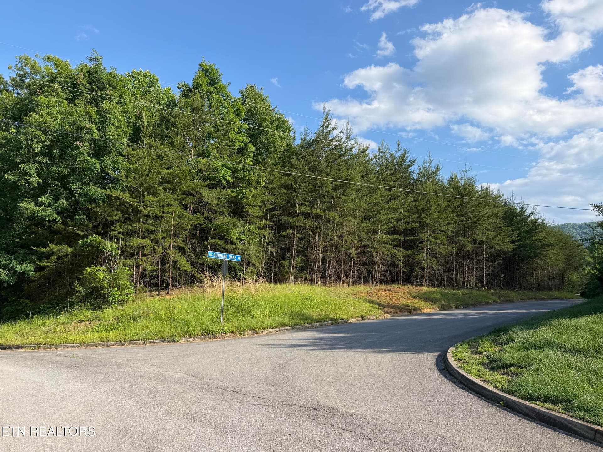 IMG_1232 - Lot #36 Burning Oaks Drive Drive, Sevierville, TN 37876