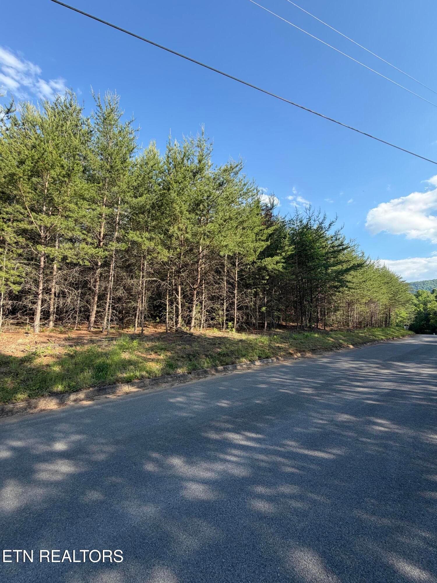 IMG_1230 - Lot #36 Burning Oaks Drive Drive, Sevierville, TN 37876