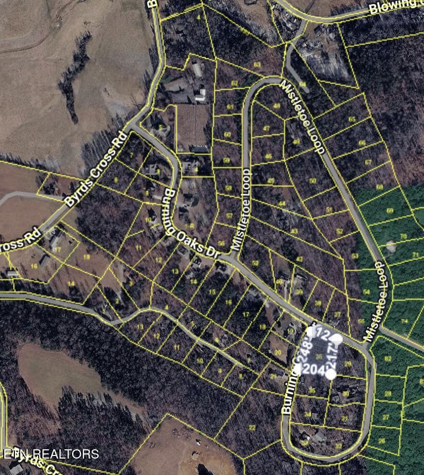 Image 5-14-26 at 1.17PM - Lot #36 Burning Oaks Drive Drive, Sevierville, TN 37876
