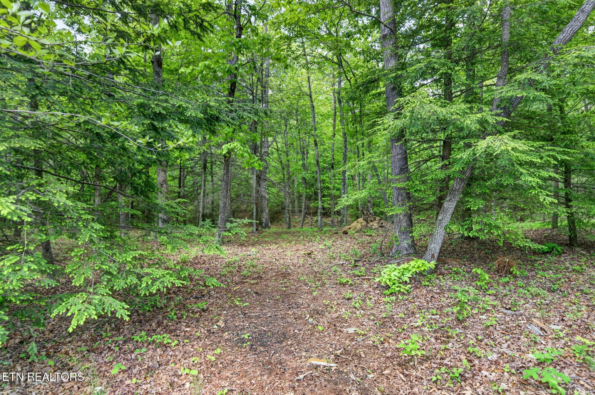 27-web-or-mls-704 White Oak Rd_128_TNPC - 704 White Oak Rd, Monterey, TN 38574, Monterey