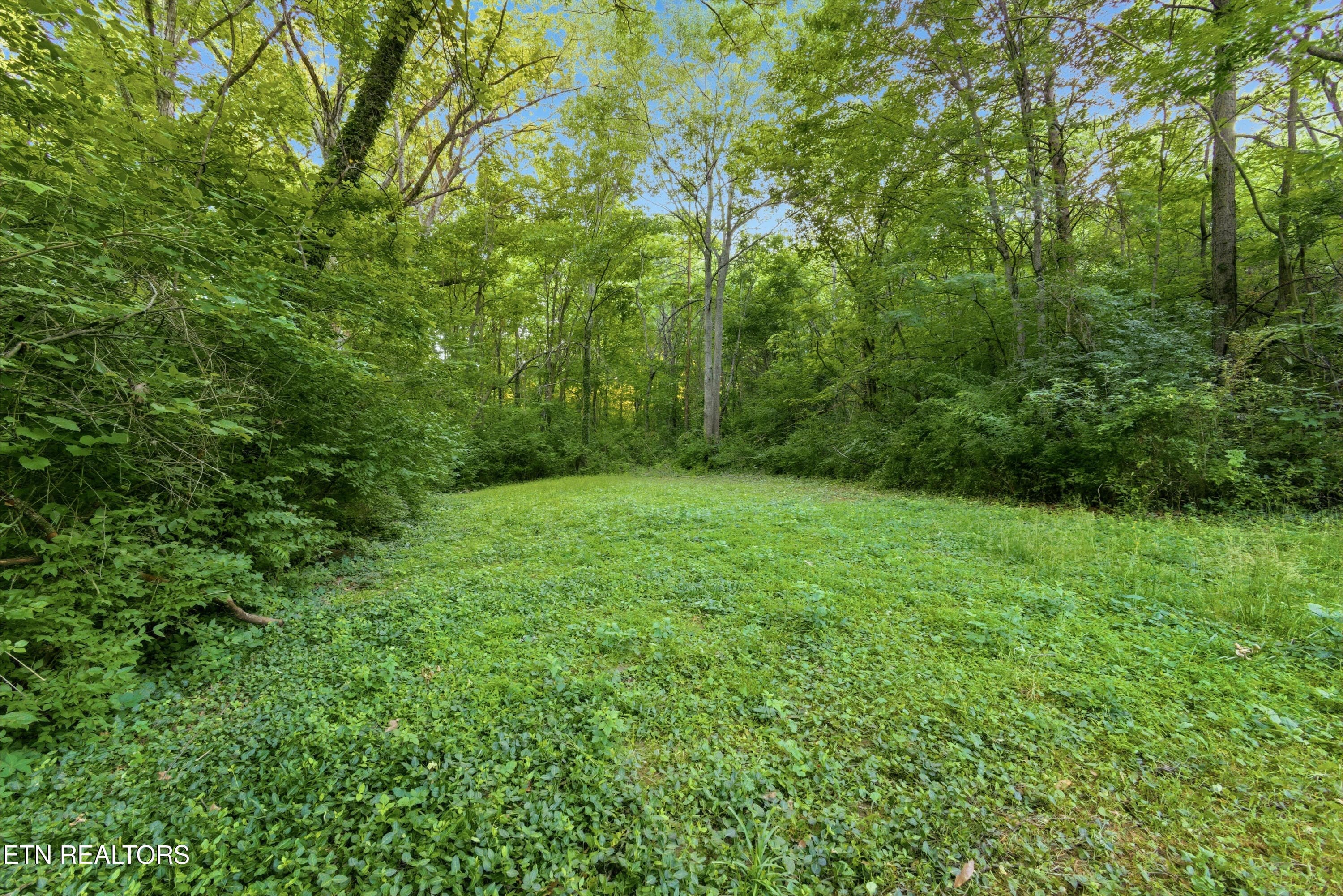 2000-35 - 1900 Ridgecrest Drive 304, Knoxville, TN 37918