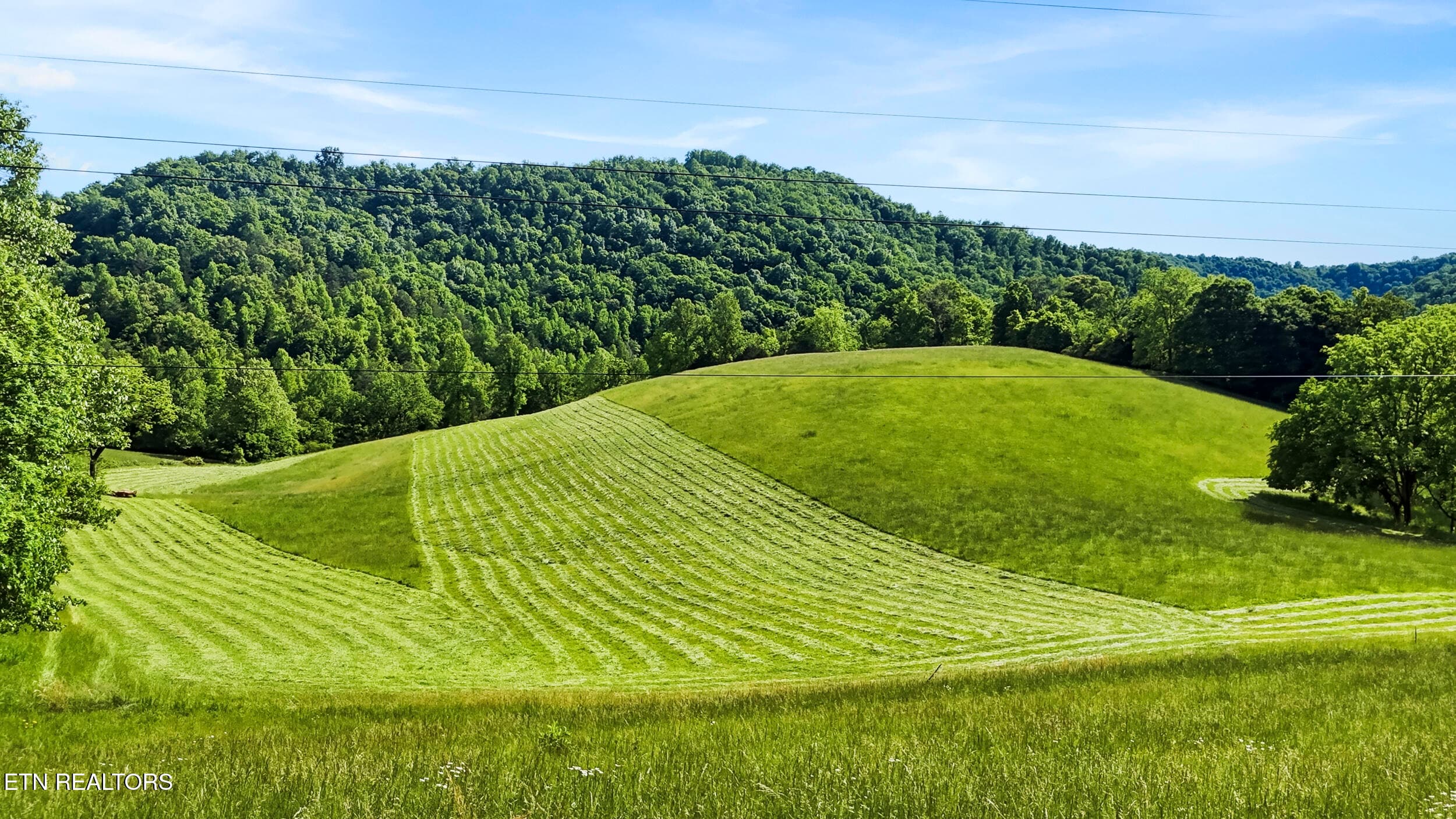 dji_20260511164602_0491_d - 3609 Cave Springs Rd, Tazewell, TN 37879