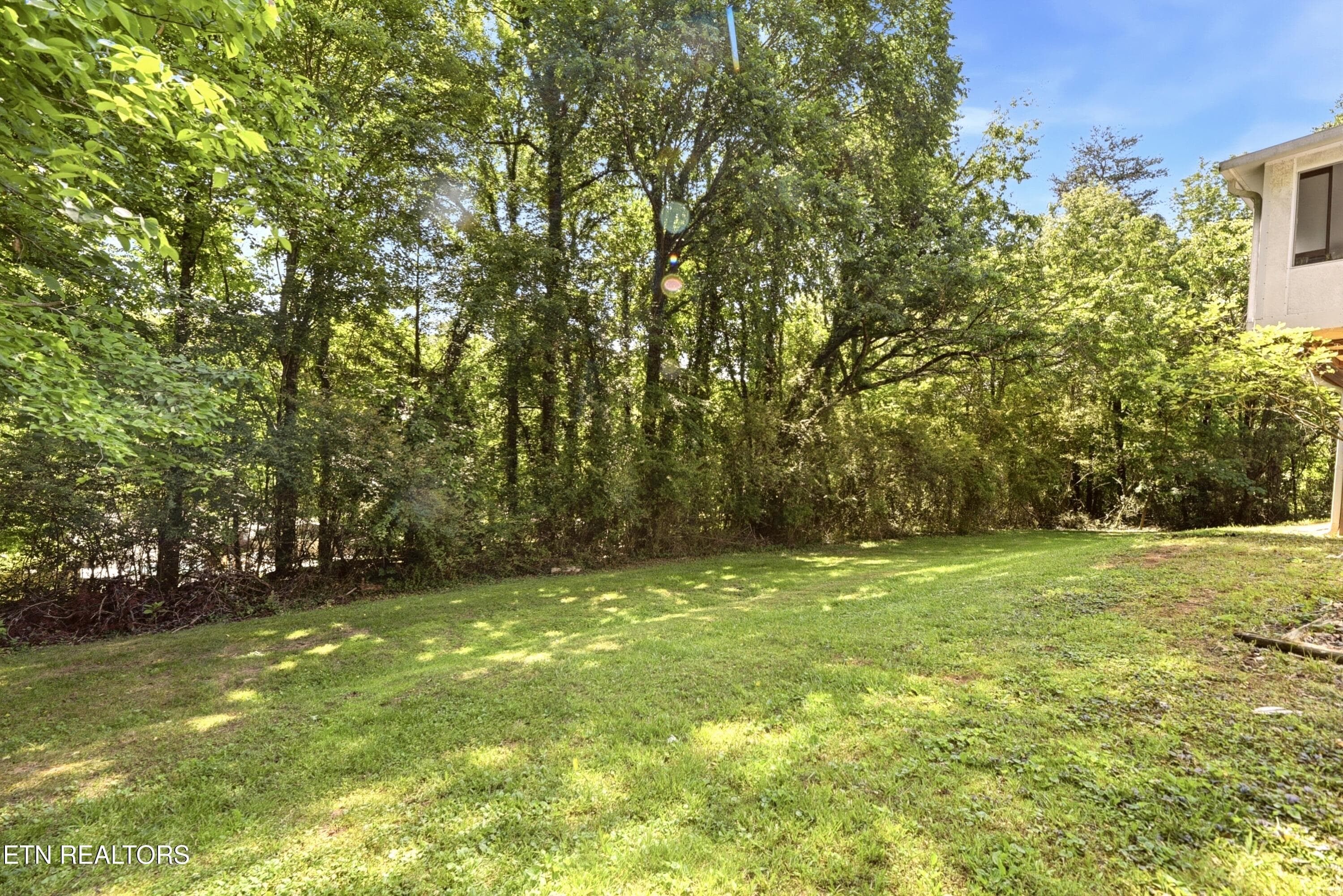 Backyard - 221 Sherwood Rd, Powell, TN 37849