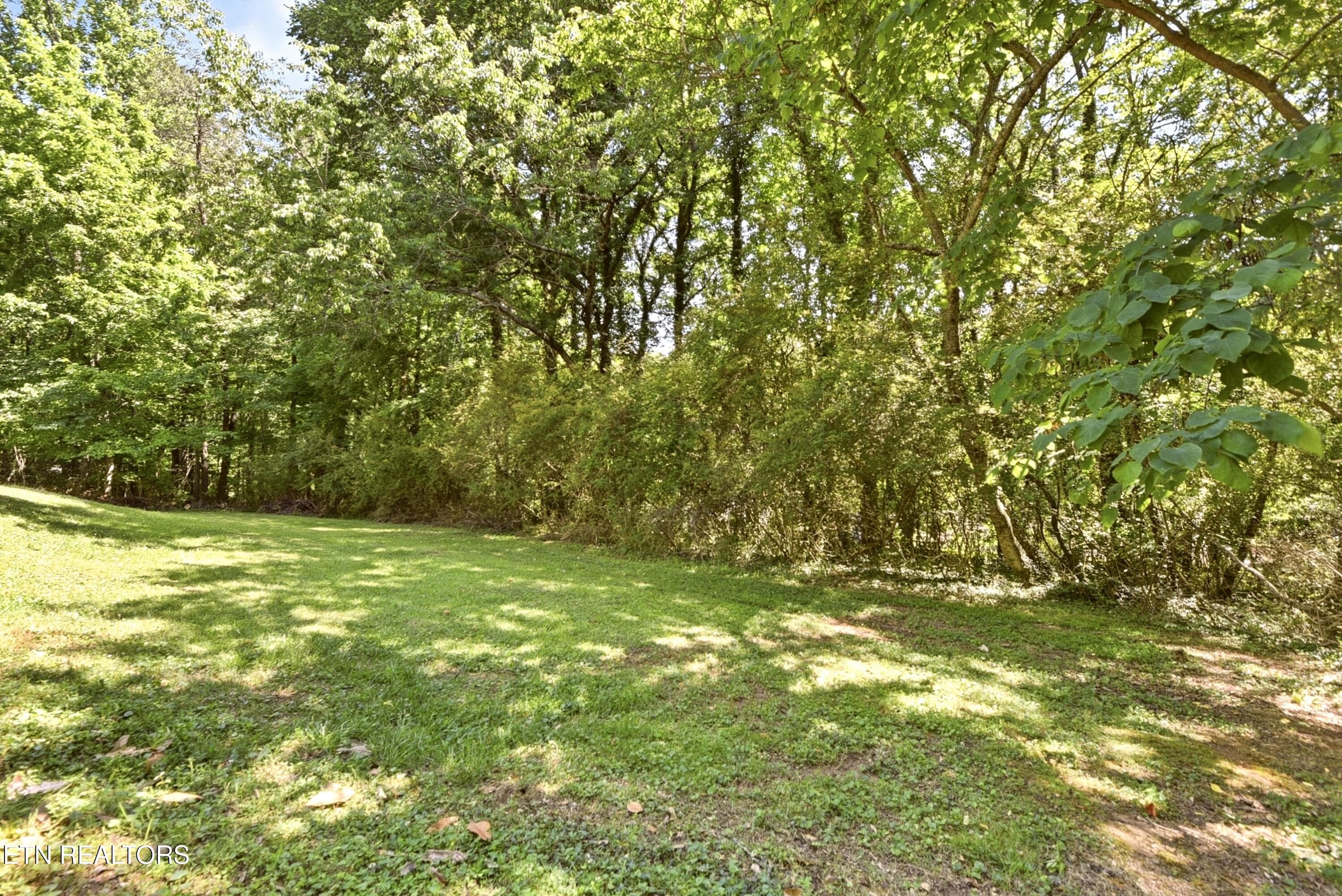 Privacy - 221 Sherwood Rd, Powell, TN 37849