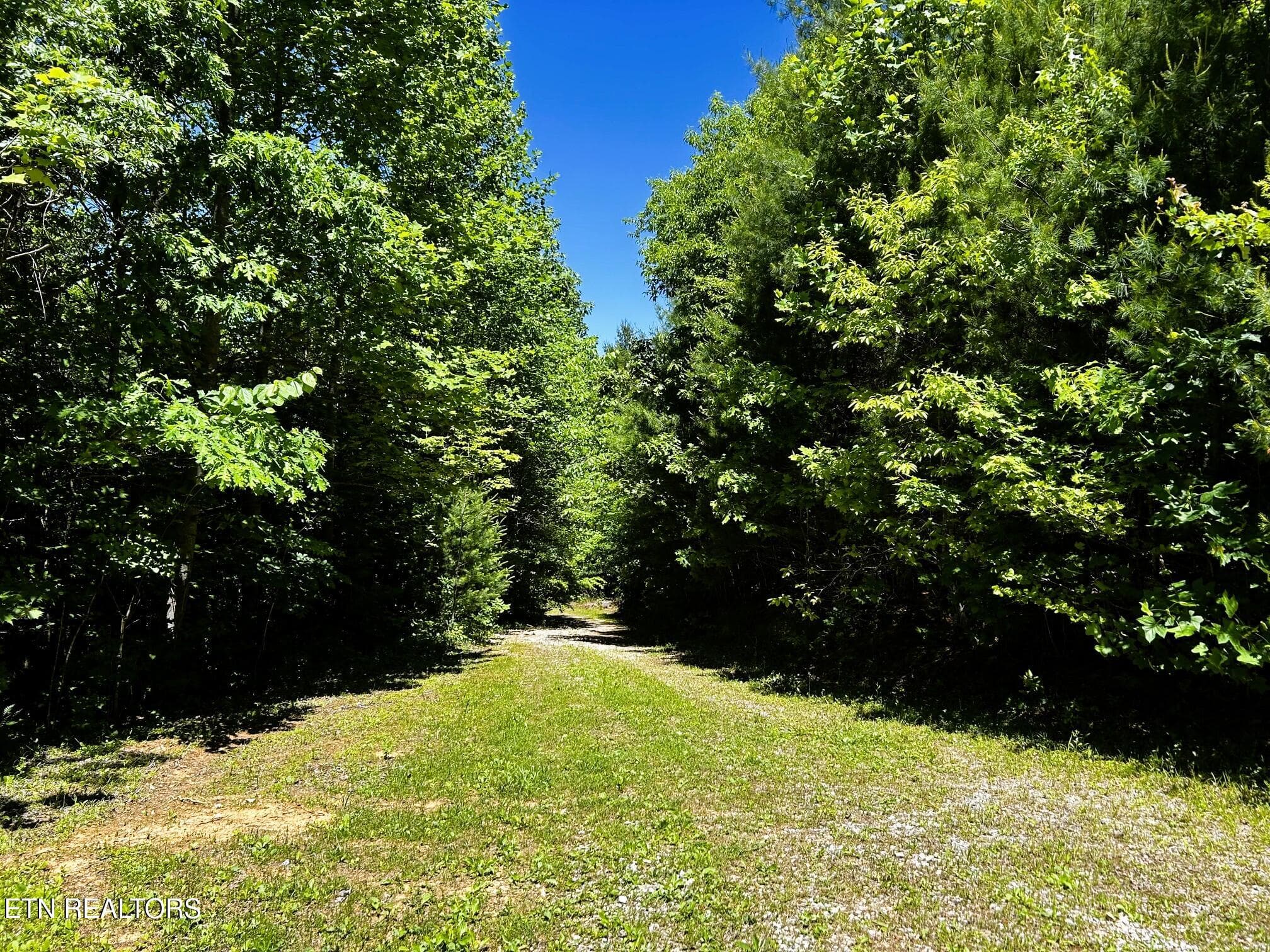 willie workshop driveway - 161 Willie Shell Rd, Reliance, TN 37369