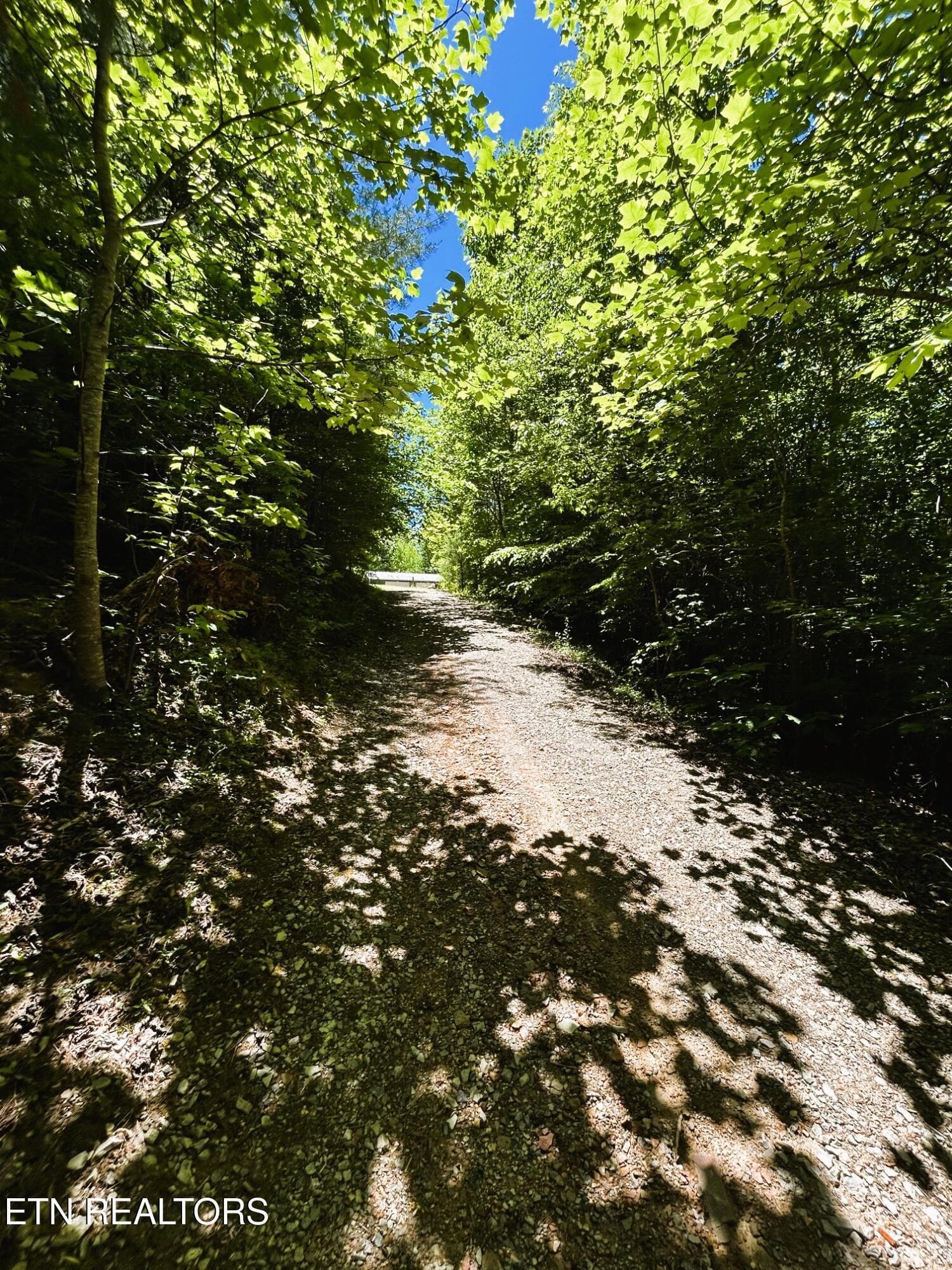 willie upper driveway to the workshop - 161 Willie Shell Rd, Reliance, TN 37369