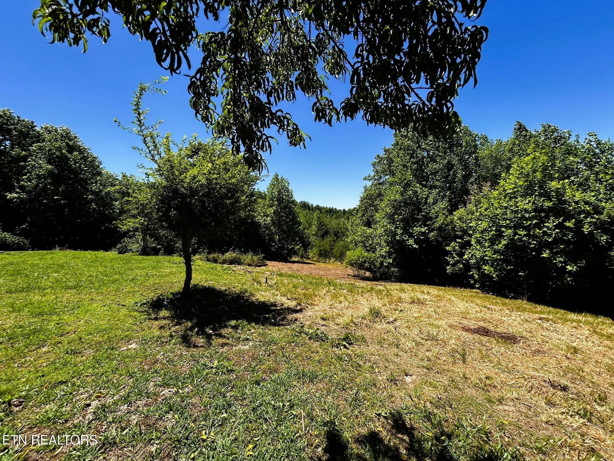willie yard 2 - 161 Willie Shell Rd, Reliance, TN 37369