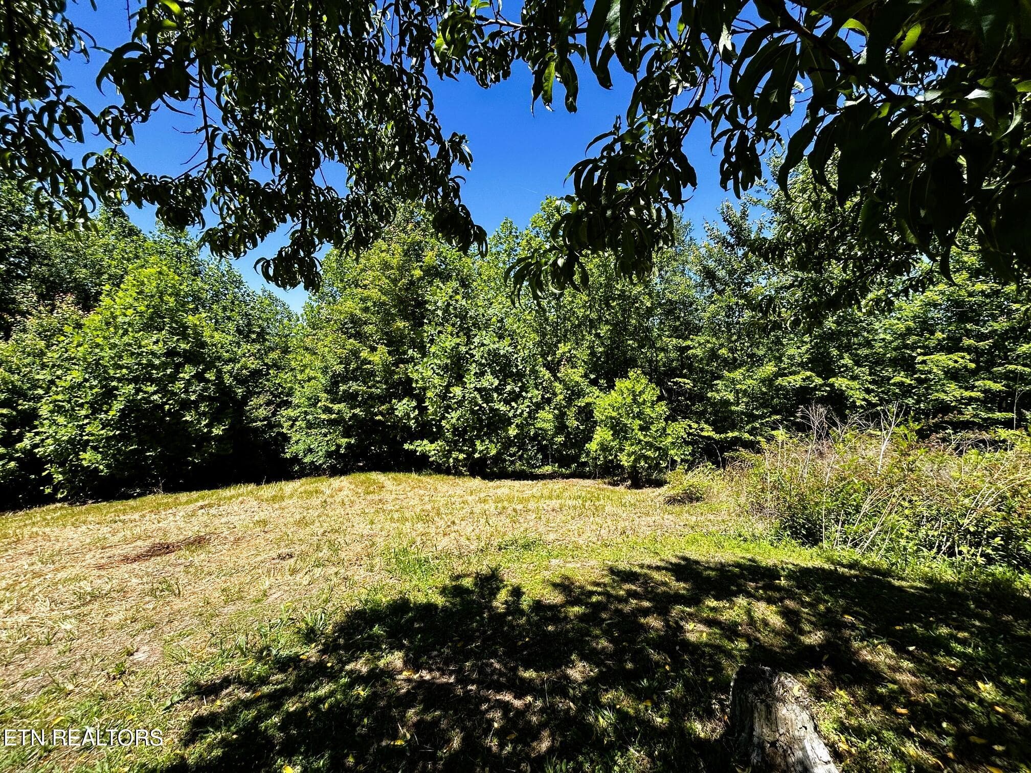 willie yard - 161 Willie Shell Rd, Reliance, TN 37369