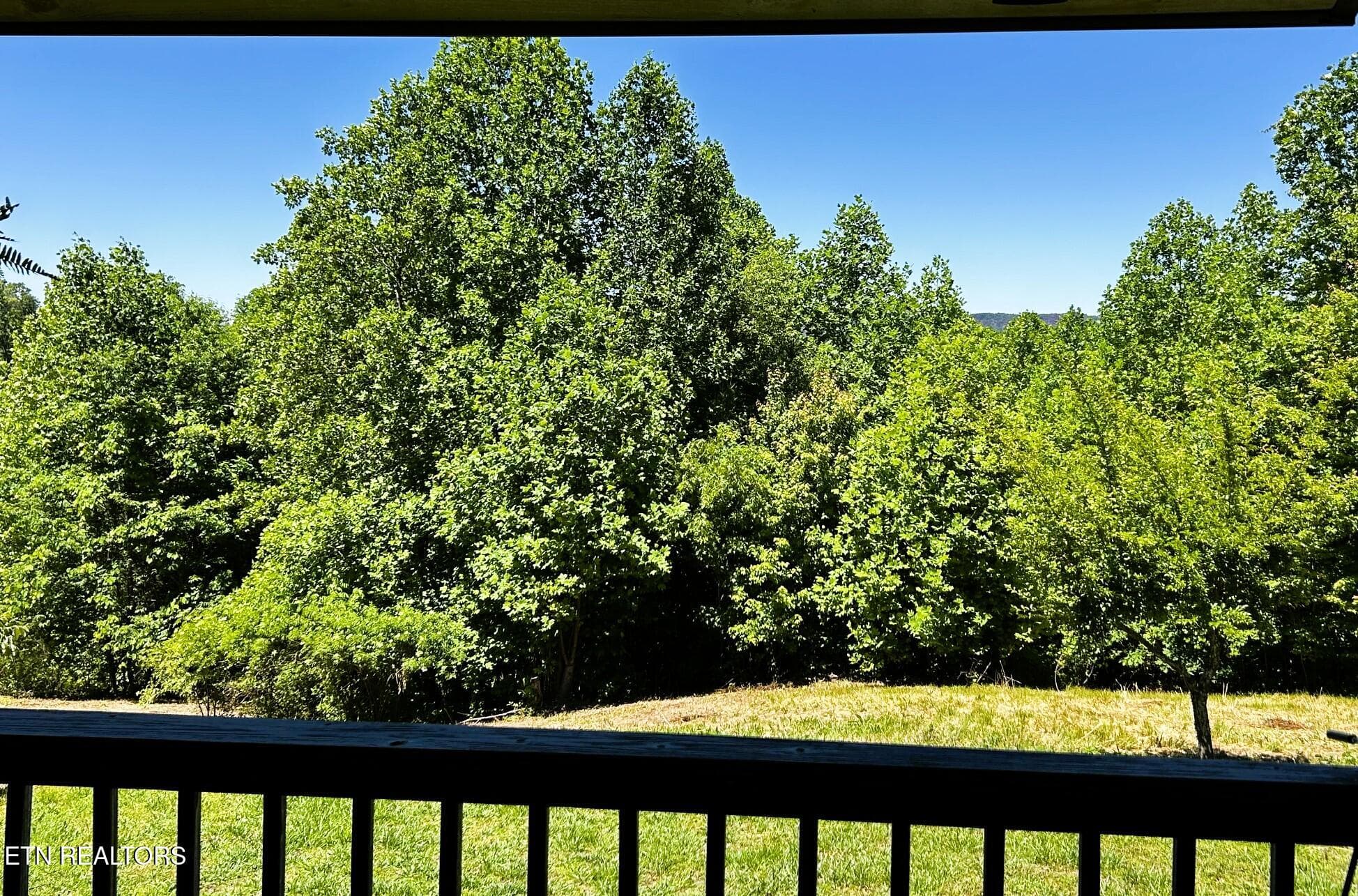 willie views porch sitting - 161 Willie Shell Rd, Reliance, TN 37369