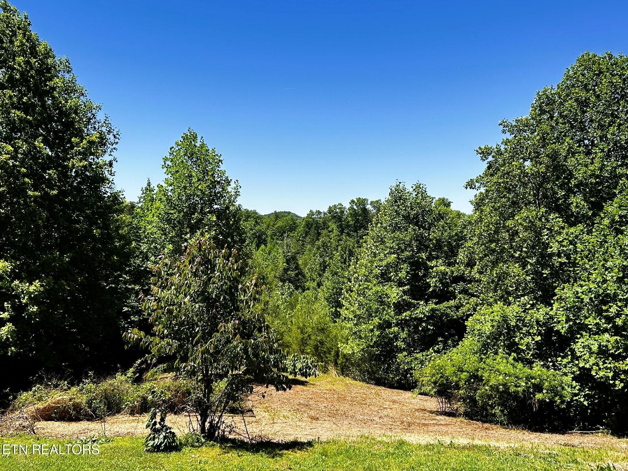 willie views 3 - 161 Willie Shell Rd, Reliance, TN 37369