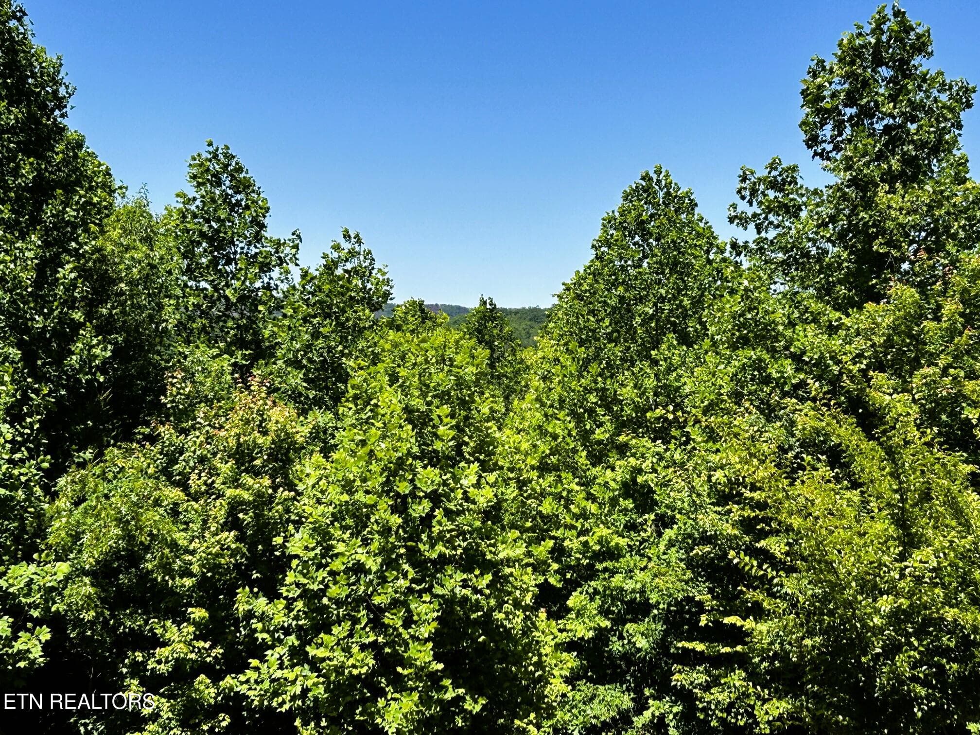 willie views 2 - 161 Willie Shell Rd, Reliance, TN 37369