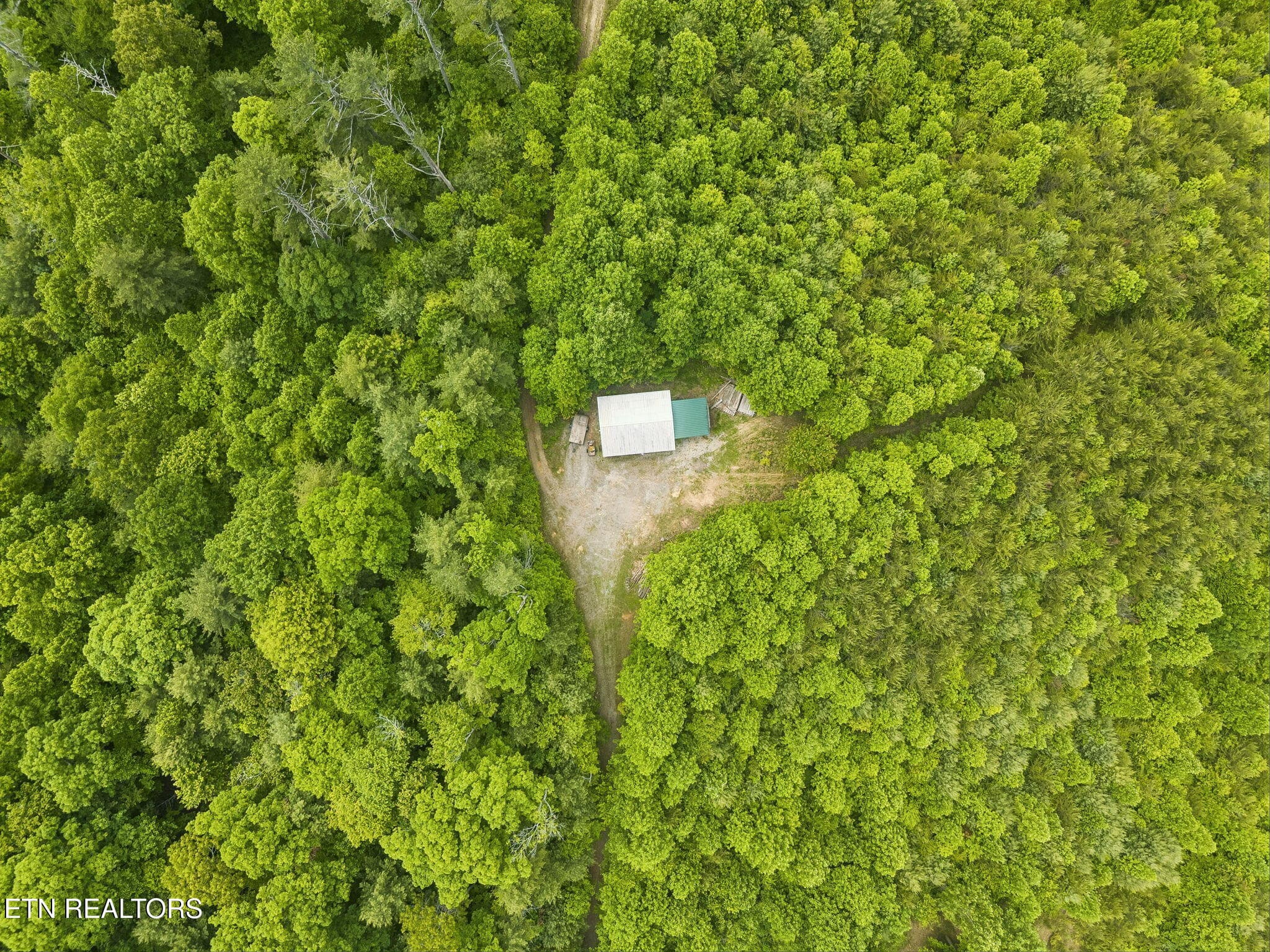 56-161 Willie Shell Rd Reliance - 066 - 161 Willie Shell Rd, Reliance, TN 37369