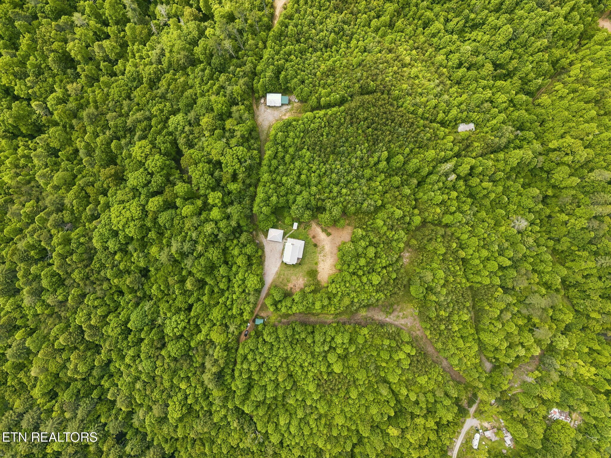52-161 Willie Shell Rd Reliance - 062 - 161 Willie Shell Rd, Reliance, TN 37369