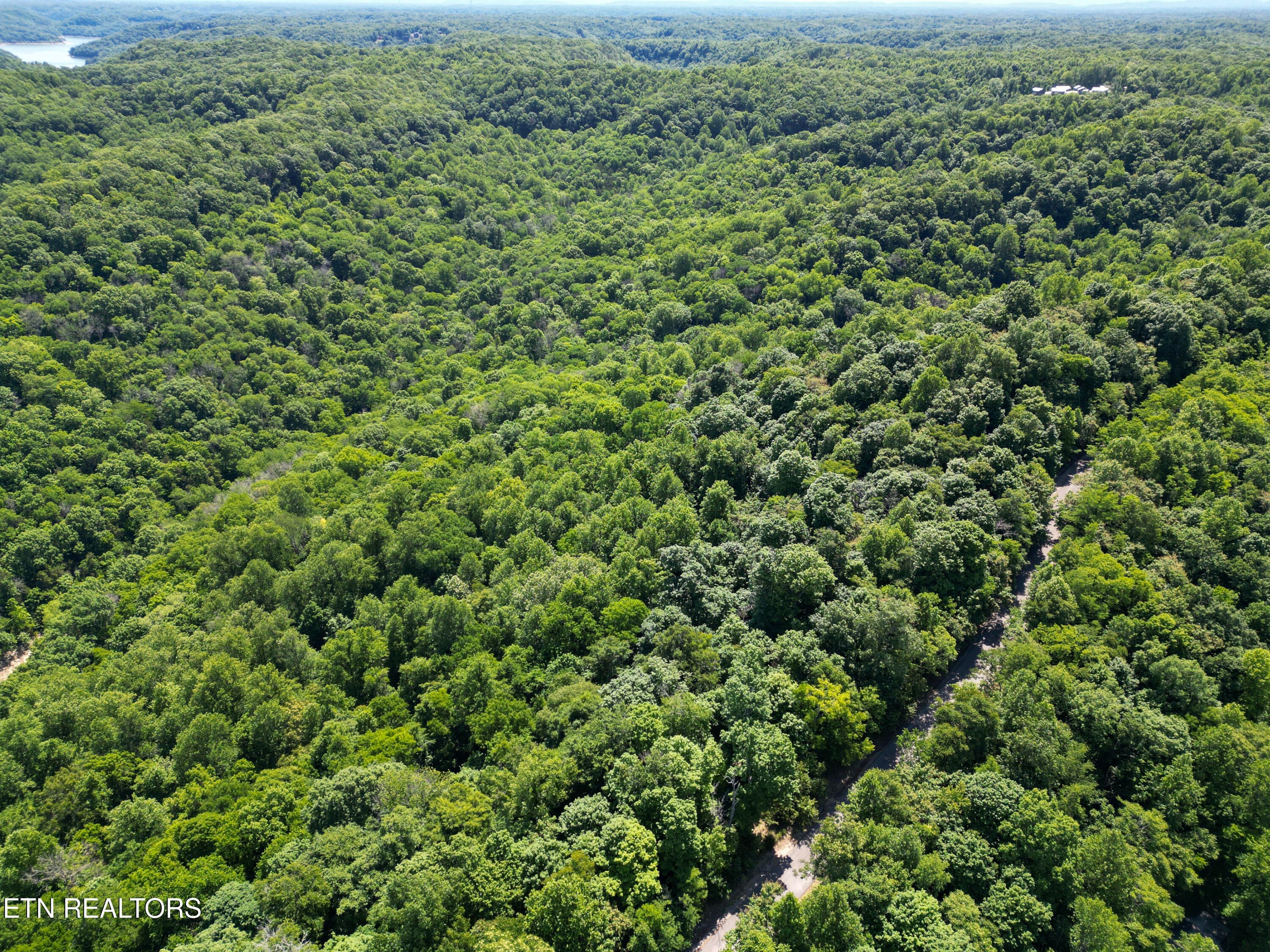 7-DJI_0064 - 0 Coconut Ridge Rd, Smithville, TN 37166, Smithville