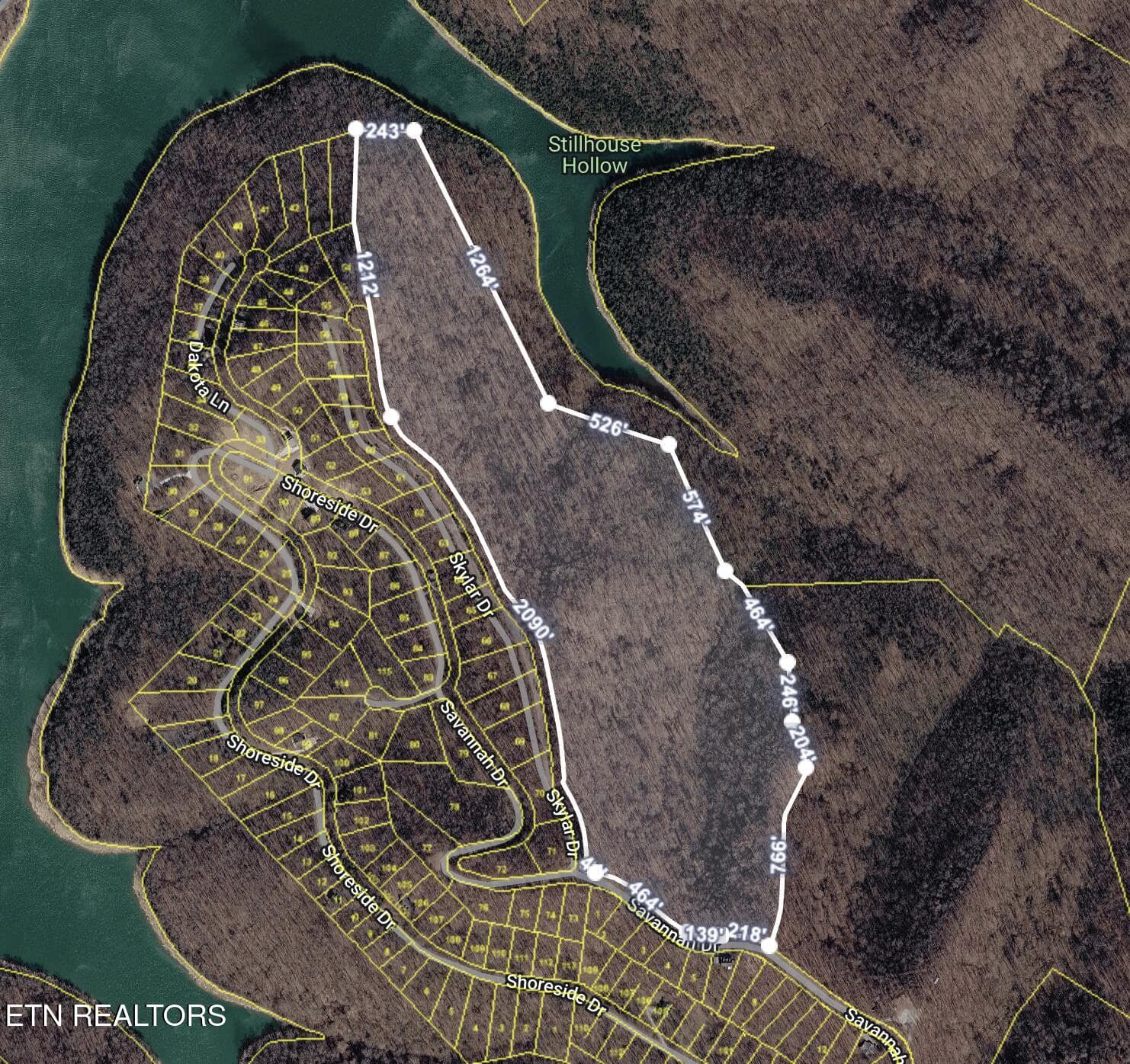 Screenshot 2026-05-12 at 3.56.40PM - 0 Coconut Ridge Rd, Smithville, TN 37166, Smithville