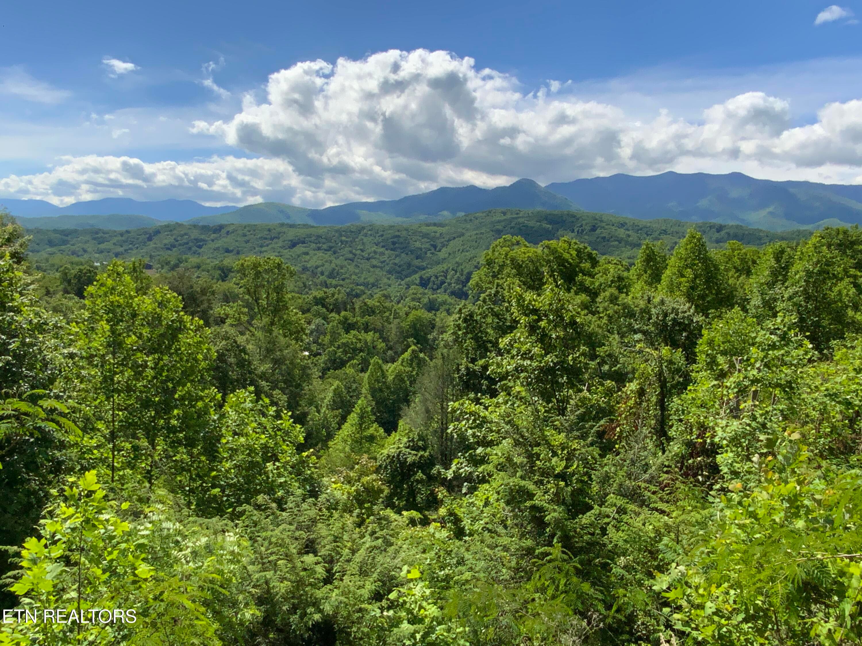 IMG_3173 - 505 Crest Rd, Gatlinburg, TN 37738