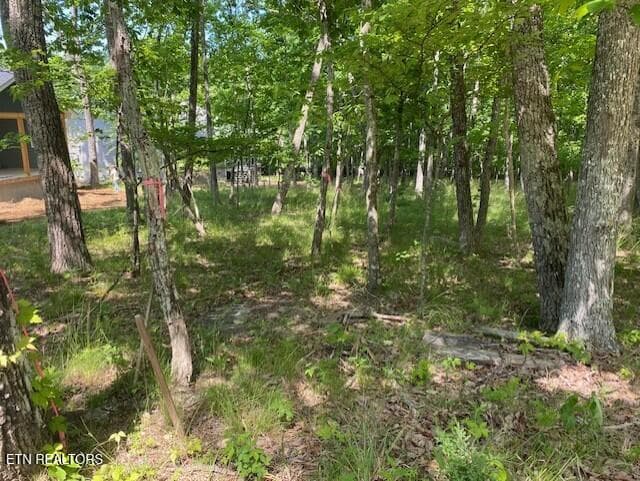 2 - 11 Rolling Green Circle, Crossville, TN 38558
