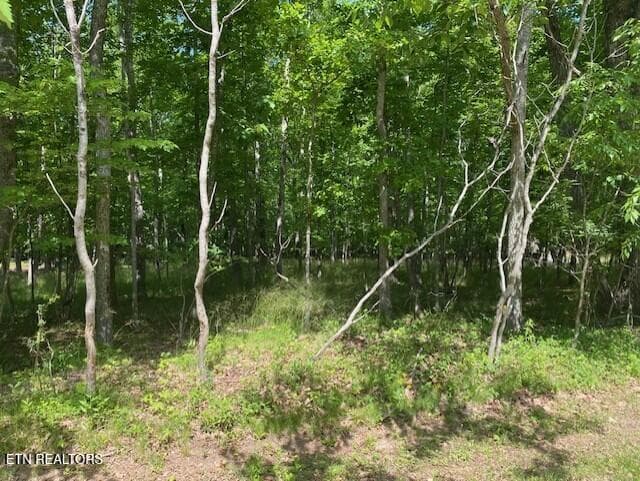 3 - 11 Rolling Green Circle, Crossville, TN 38558