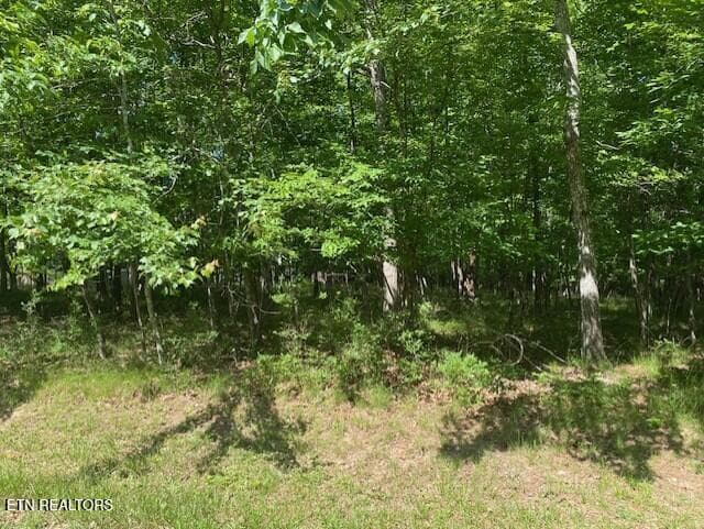 4 - 11 Rolling Green Circle, Crossville, TN 38558