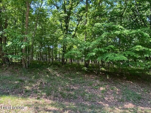 7 - 11 Rolling Green Circle, Crossville, TN 38558