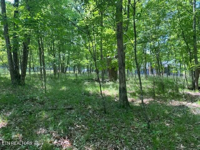 8 - 11 Rolling Green Circle, Crossville, TN 38558