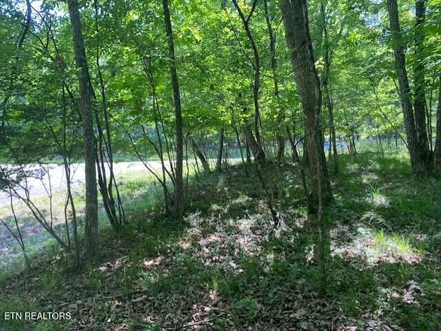 9 - 11 Rolling Green Circle, Crossville, TN 38558