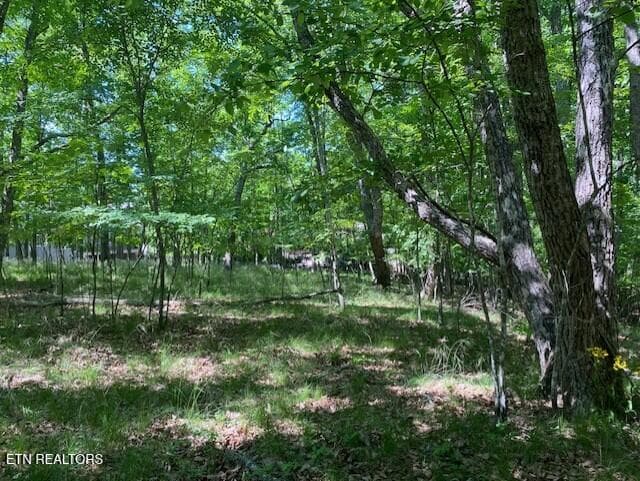 10 - 11 Rolling Green Circle, Crossville, TN 38558