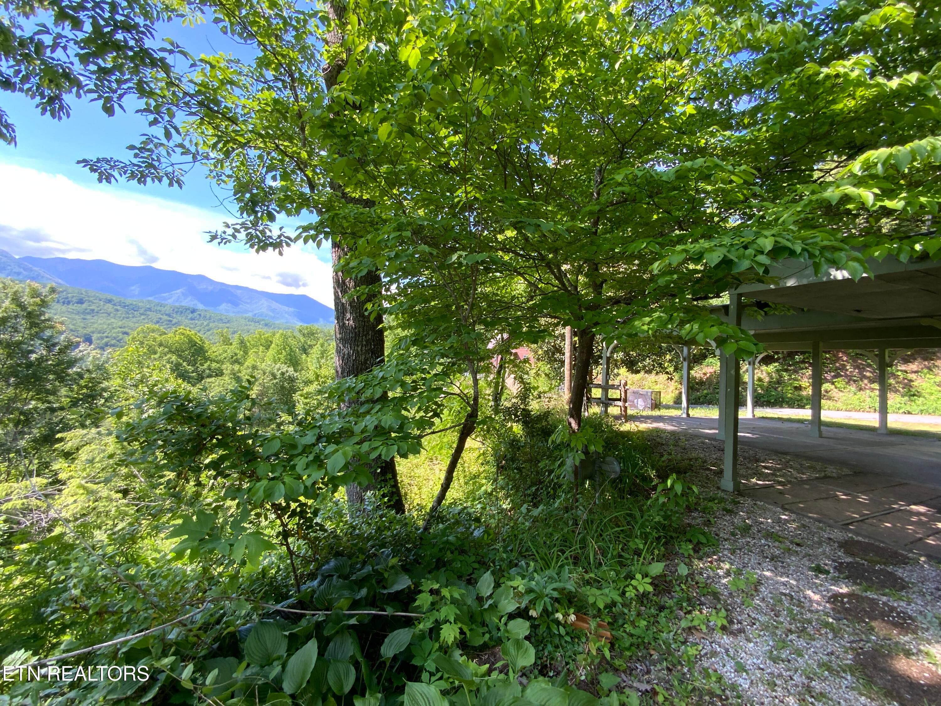 IMG_3179 - 505 Crest Rd, Gatlinburg, TN 37738