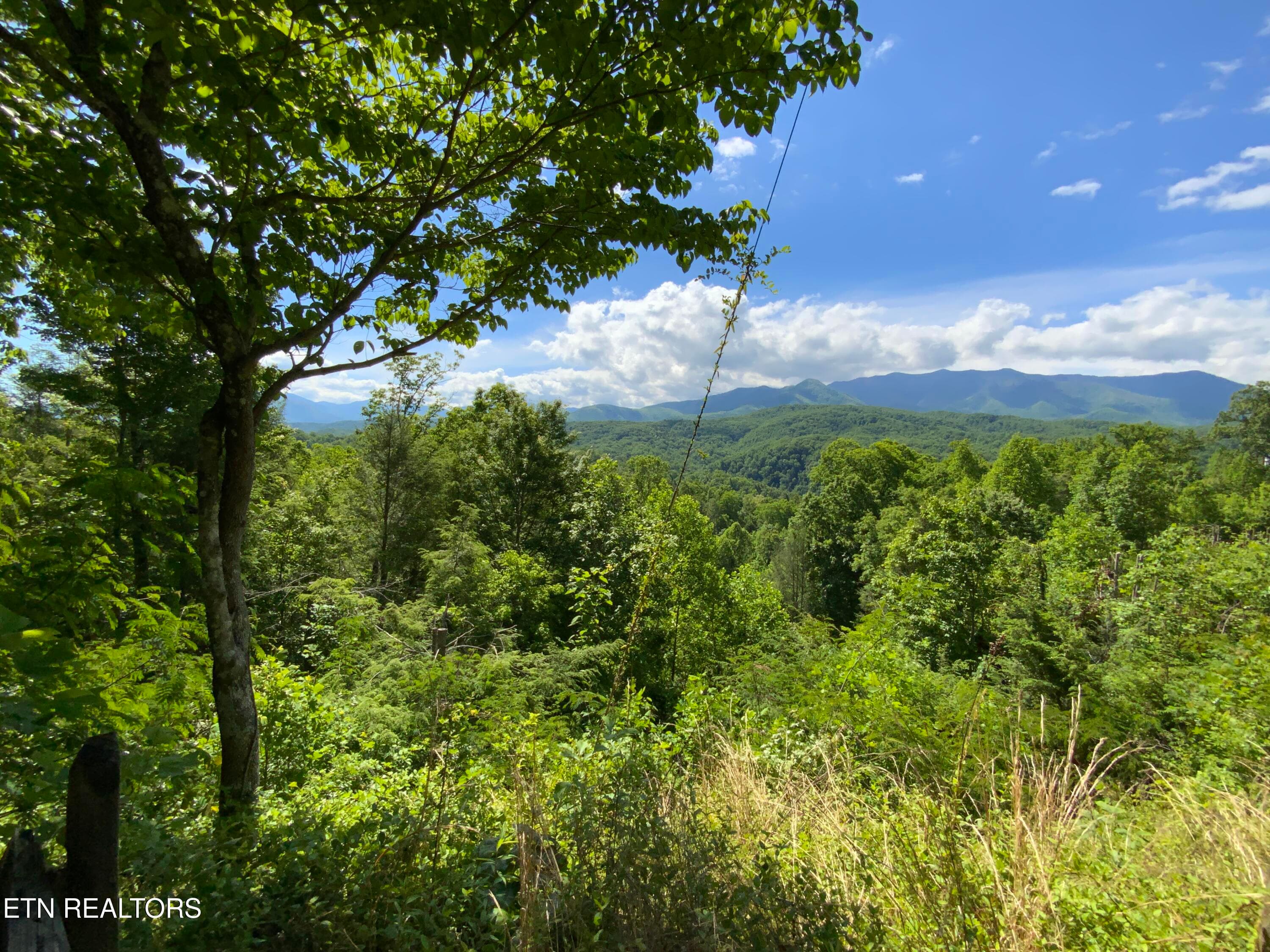 IMG_3175 - 505 Crest Rd, Gatlinburg, TN 37738