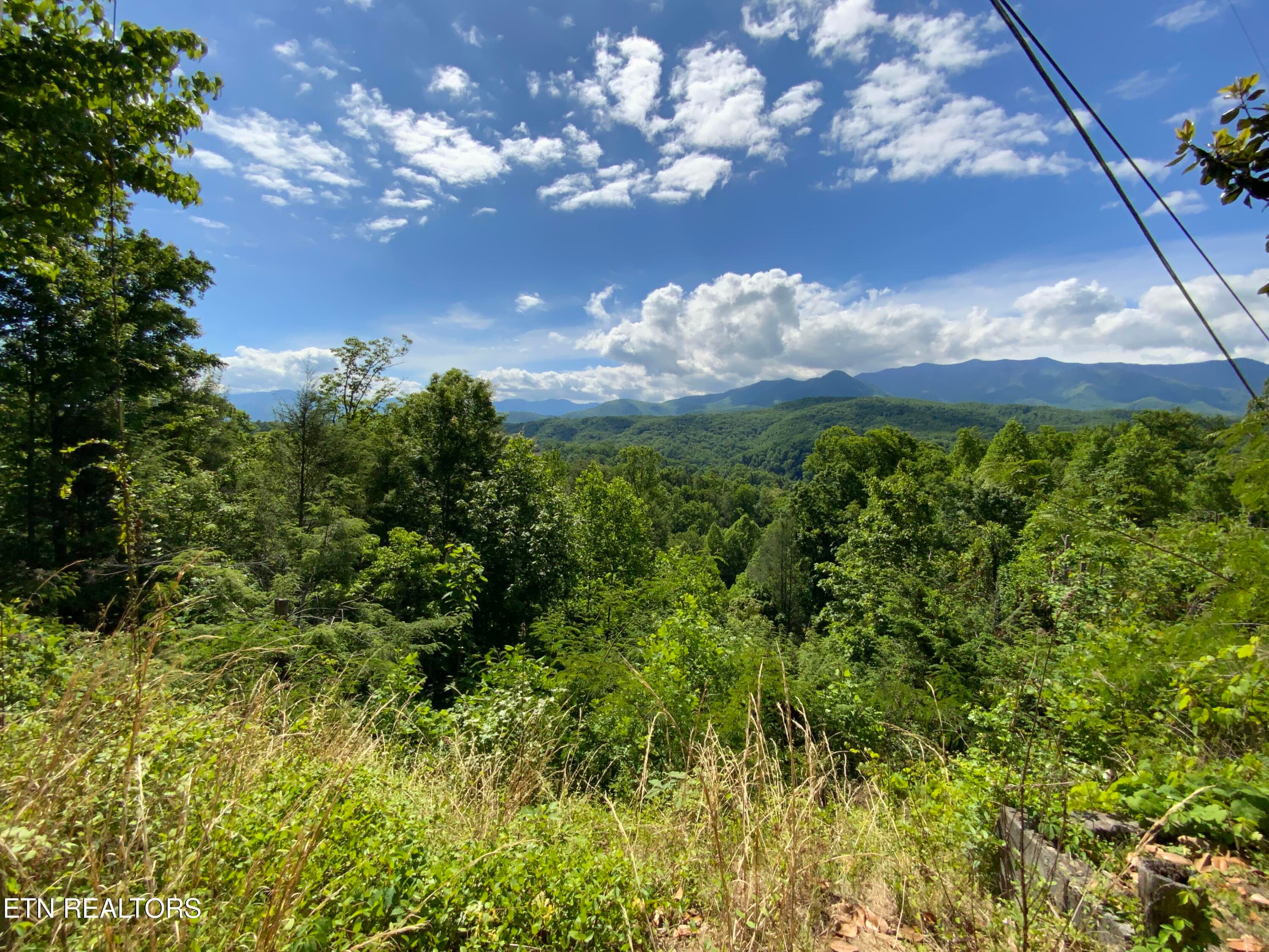IMG_3170 - 505 Crest Rd, Gatlinburg, TN 37738