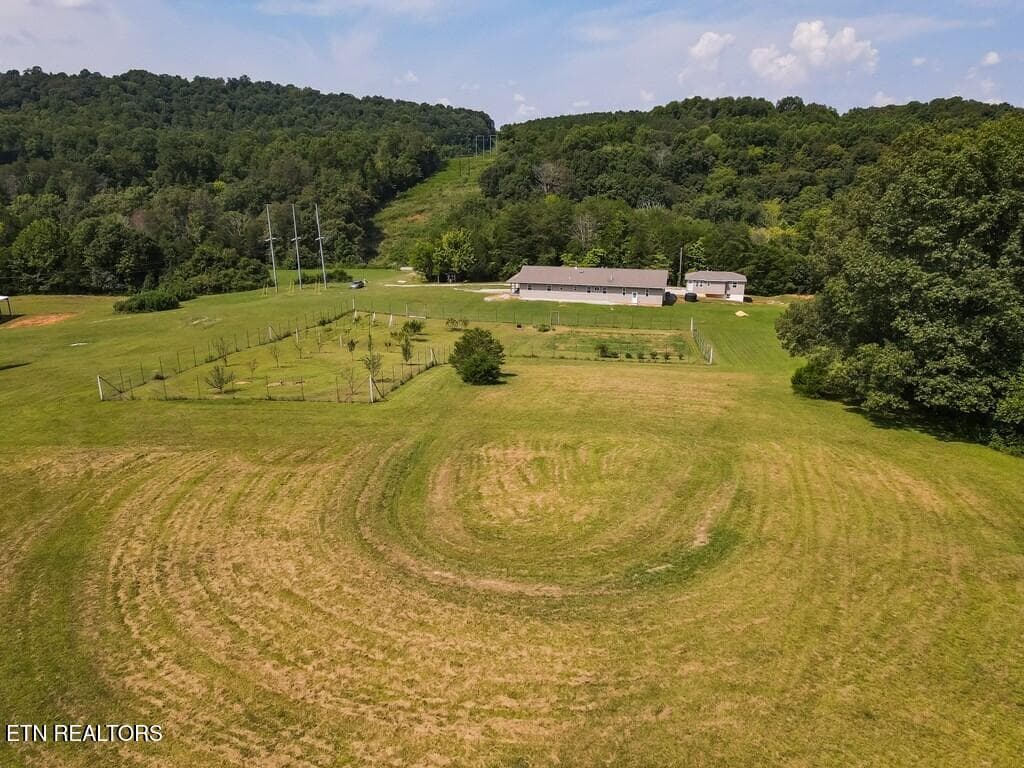 244448_7 - 1518 Cummingsville And Sparkman Rd, Doyle, TN 38559